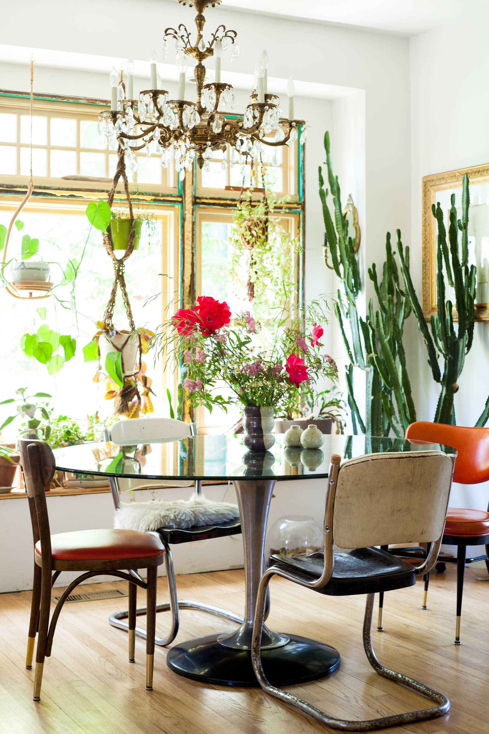 Счастливые комнатные растения — счастливые хозяева