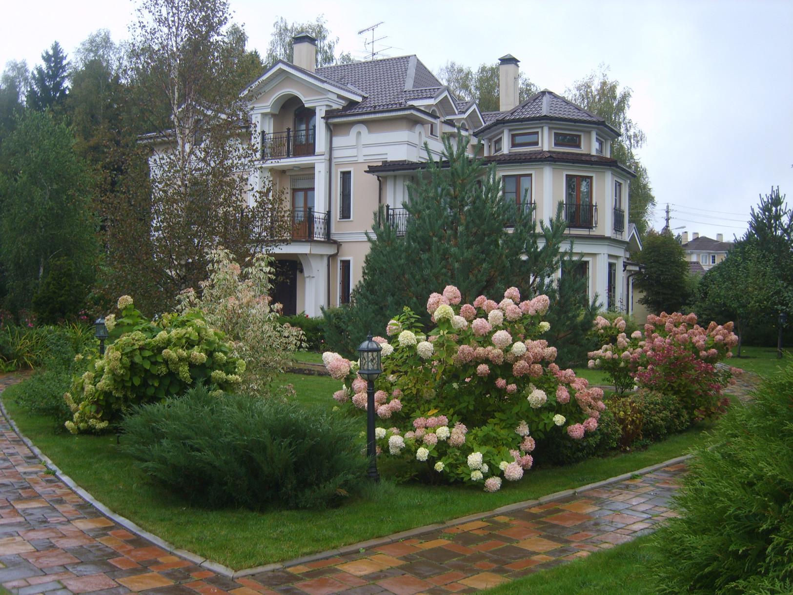 Вопрос: Как правильно выращивать гортензию