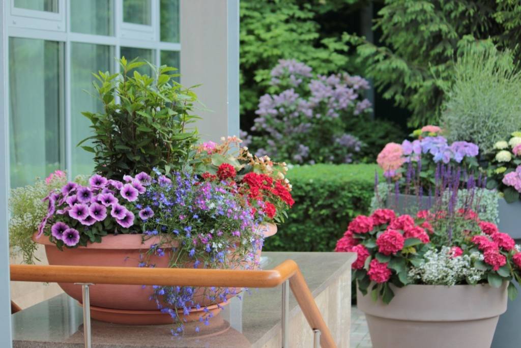 Проект недели: Кадочное озеленение в подмосковных Раздорах