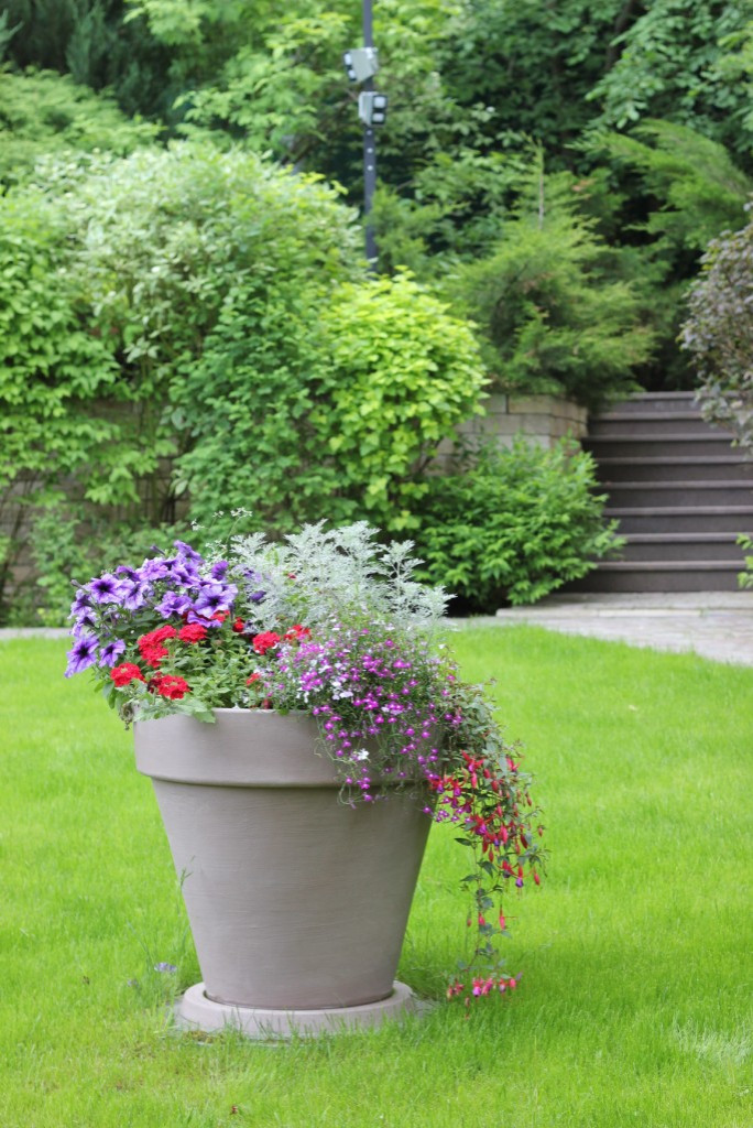 Проект недели: Кадочное озеленение в подмосковных Раздорах