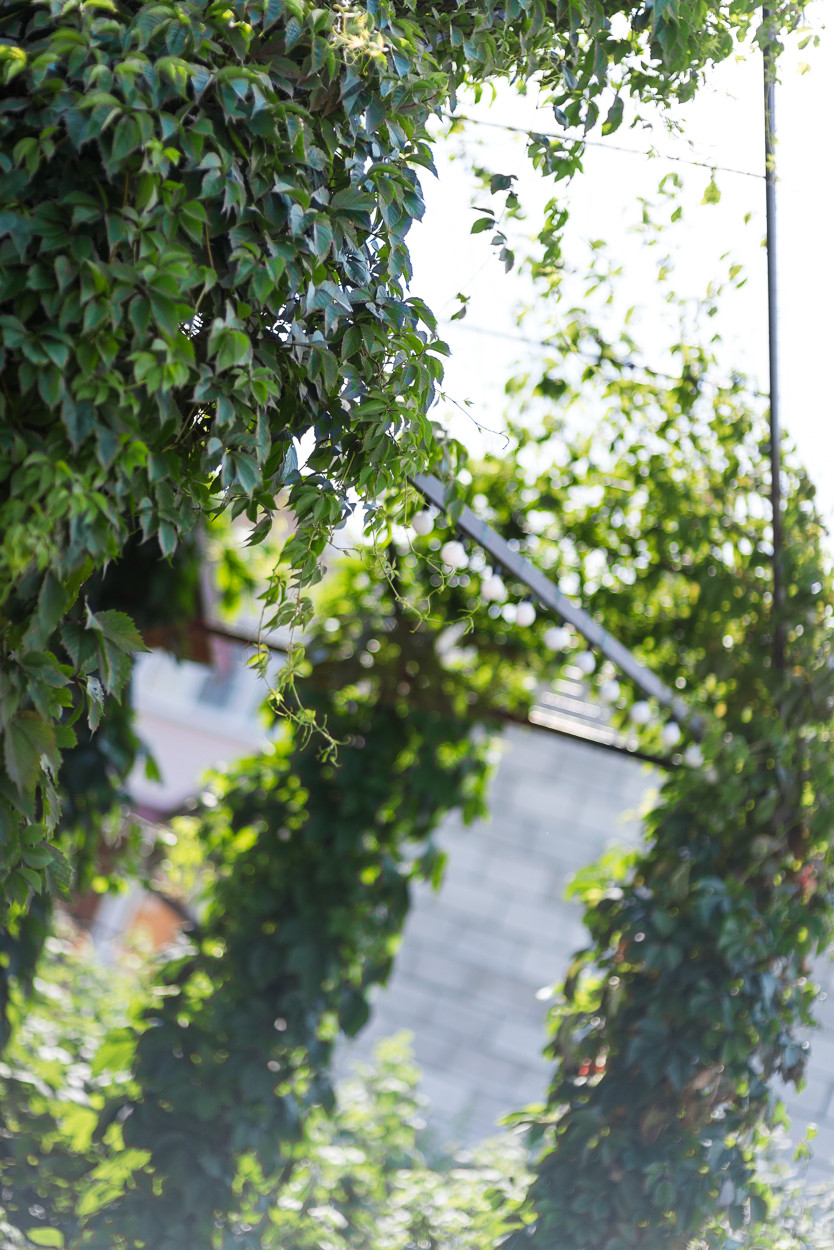 Хороший вопрос: Сколько растений нужно для красивого сада