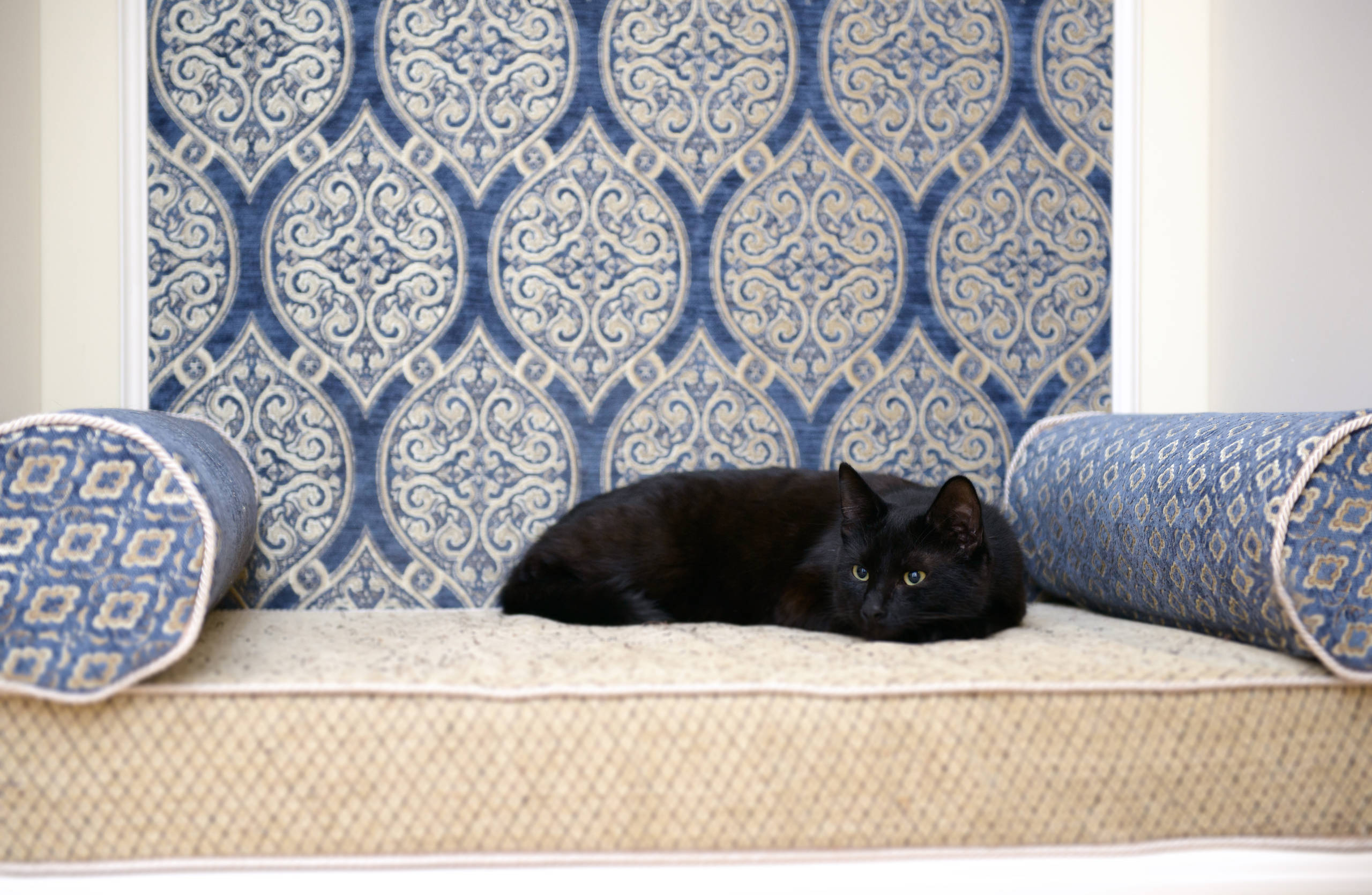 Как правильно: Как не вздрагивать от каждого шороха, если вы один дома