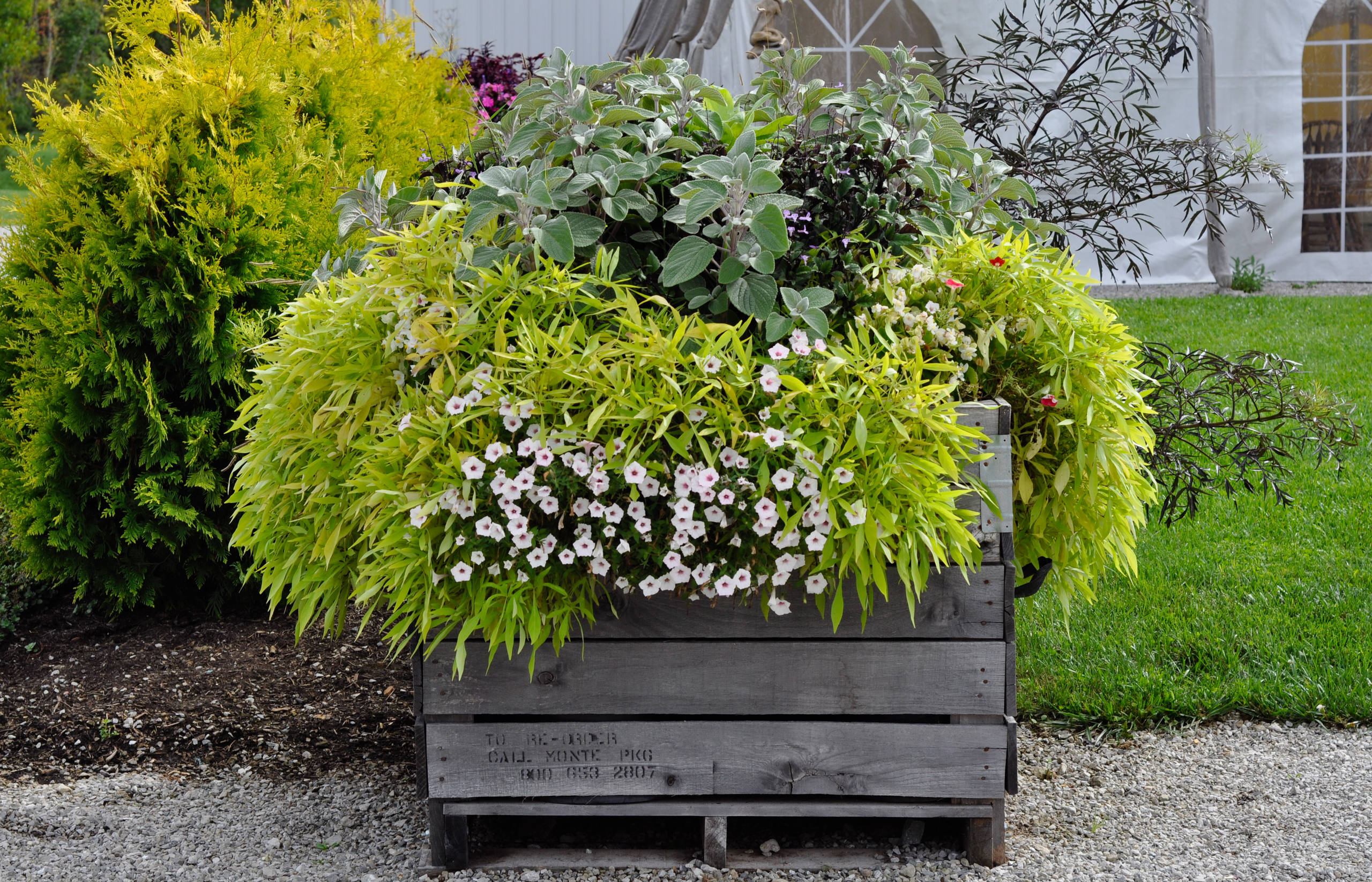 Как правильно: Сделать горшечный сад в середине лета