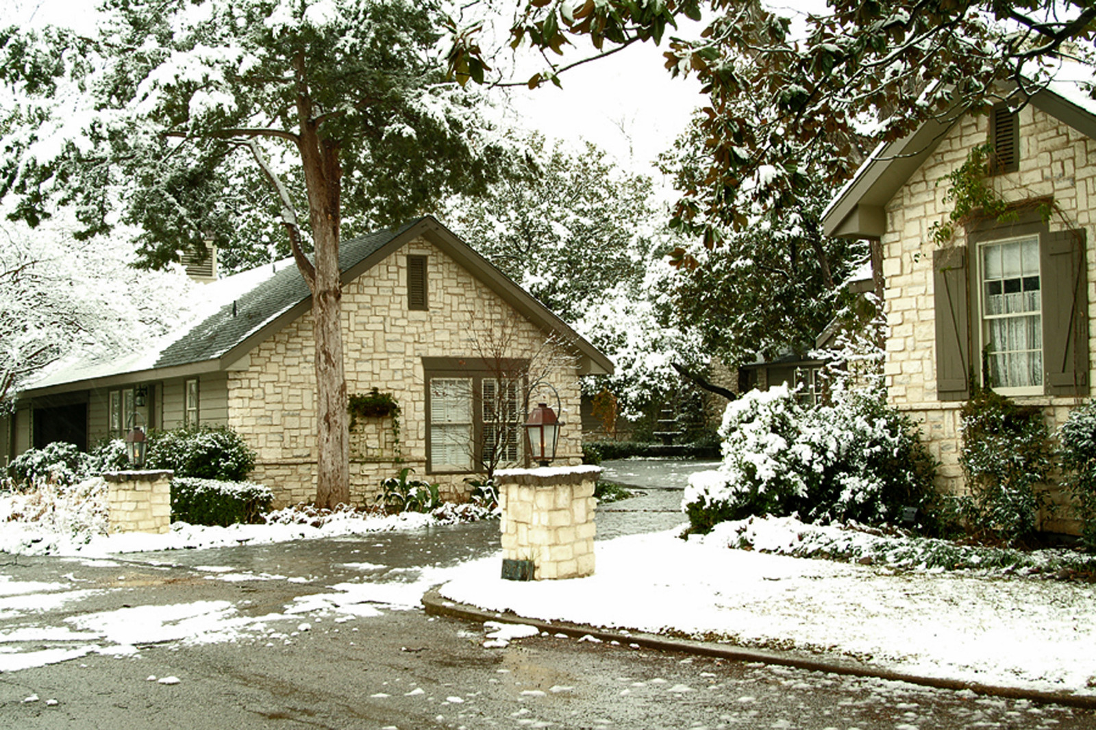 И все-таки уже весна: Календарь садовода на март