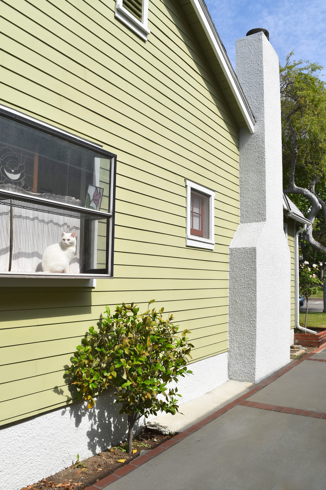 Обложка статьи: Возможности современных окон, о которых вы могли не знать