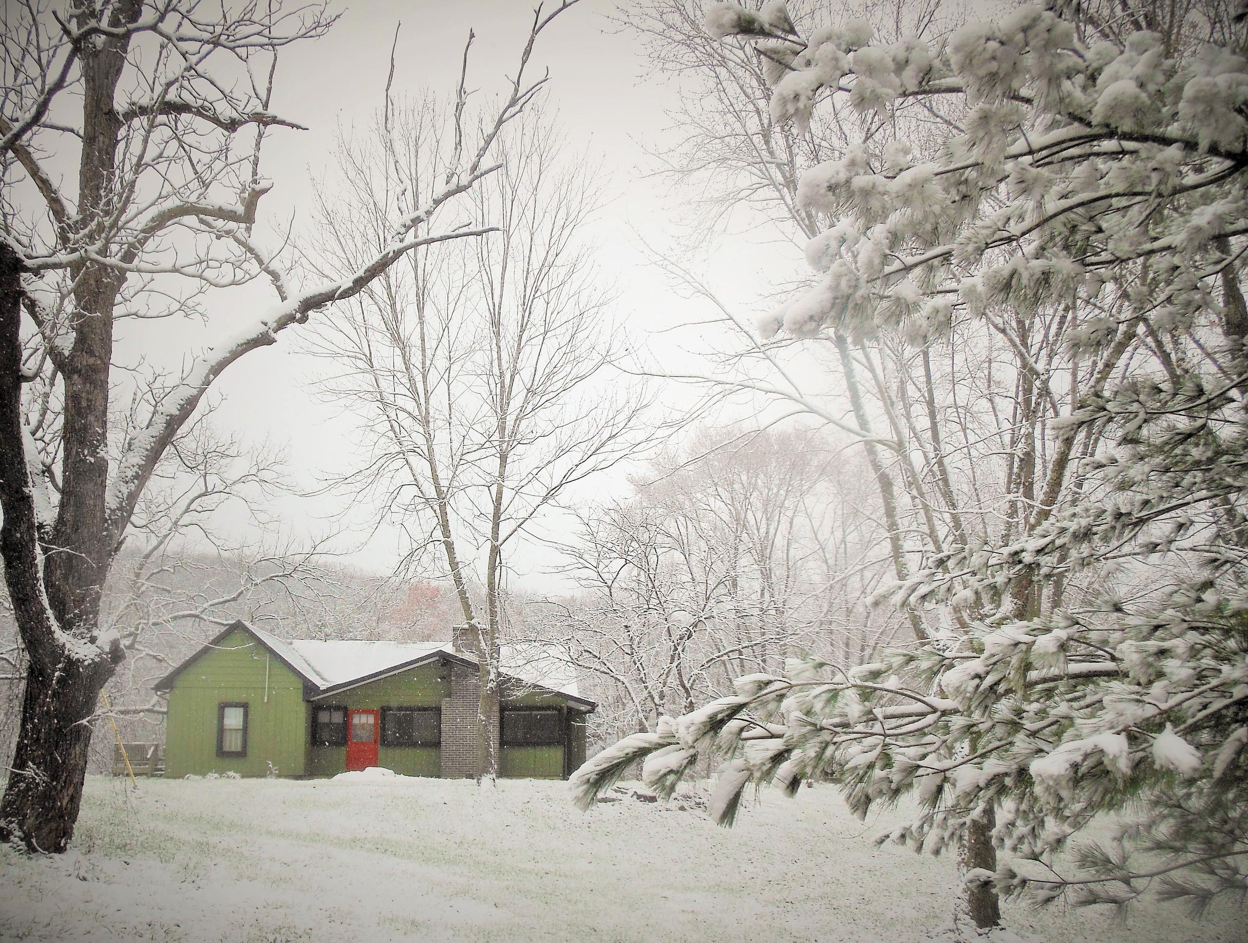 Снежный сад: Из чего складывается зимняя декоративность вашего участка