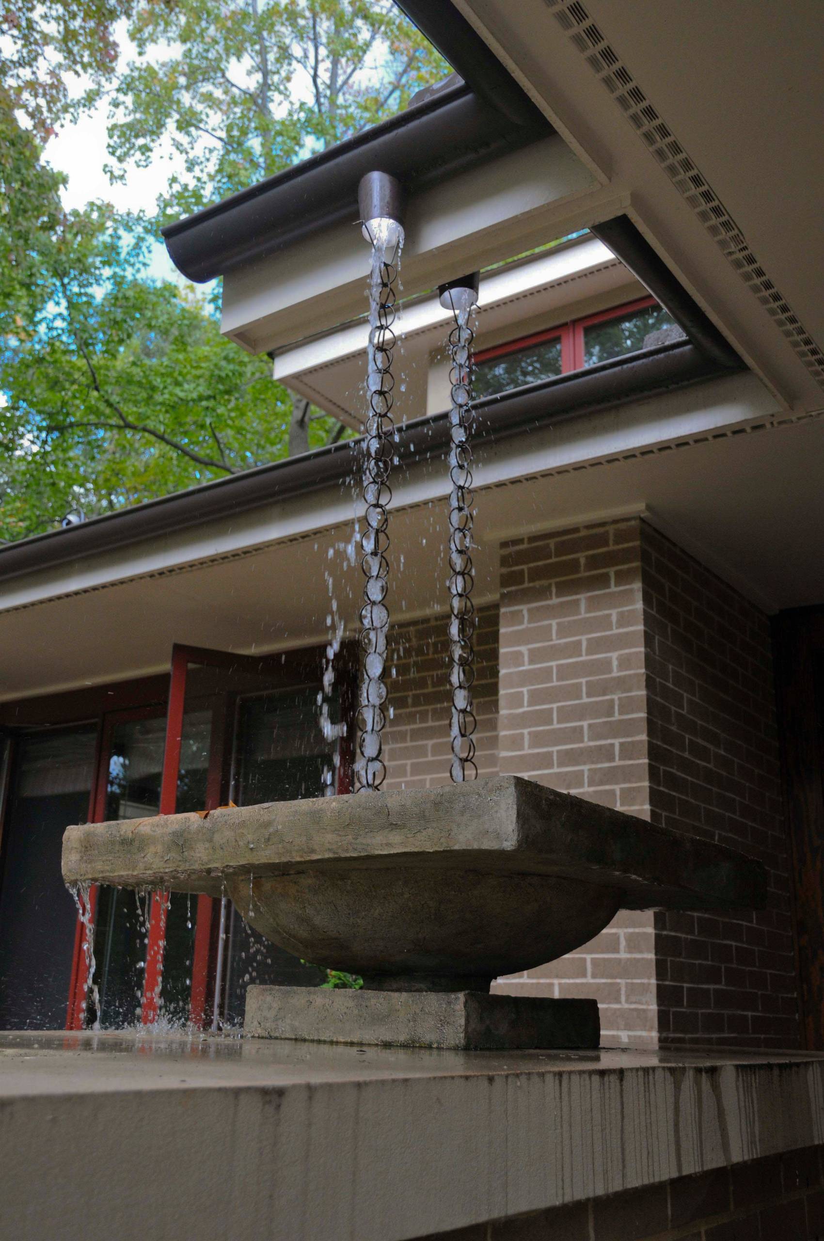 Как правильно: Организовать сбор дождевой воды