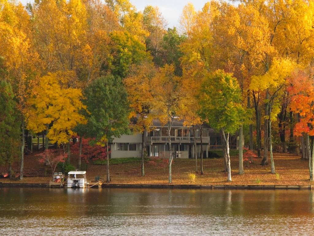 Houzz call: Покажите нам золотую осень, которую вы видите из окна