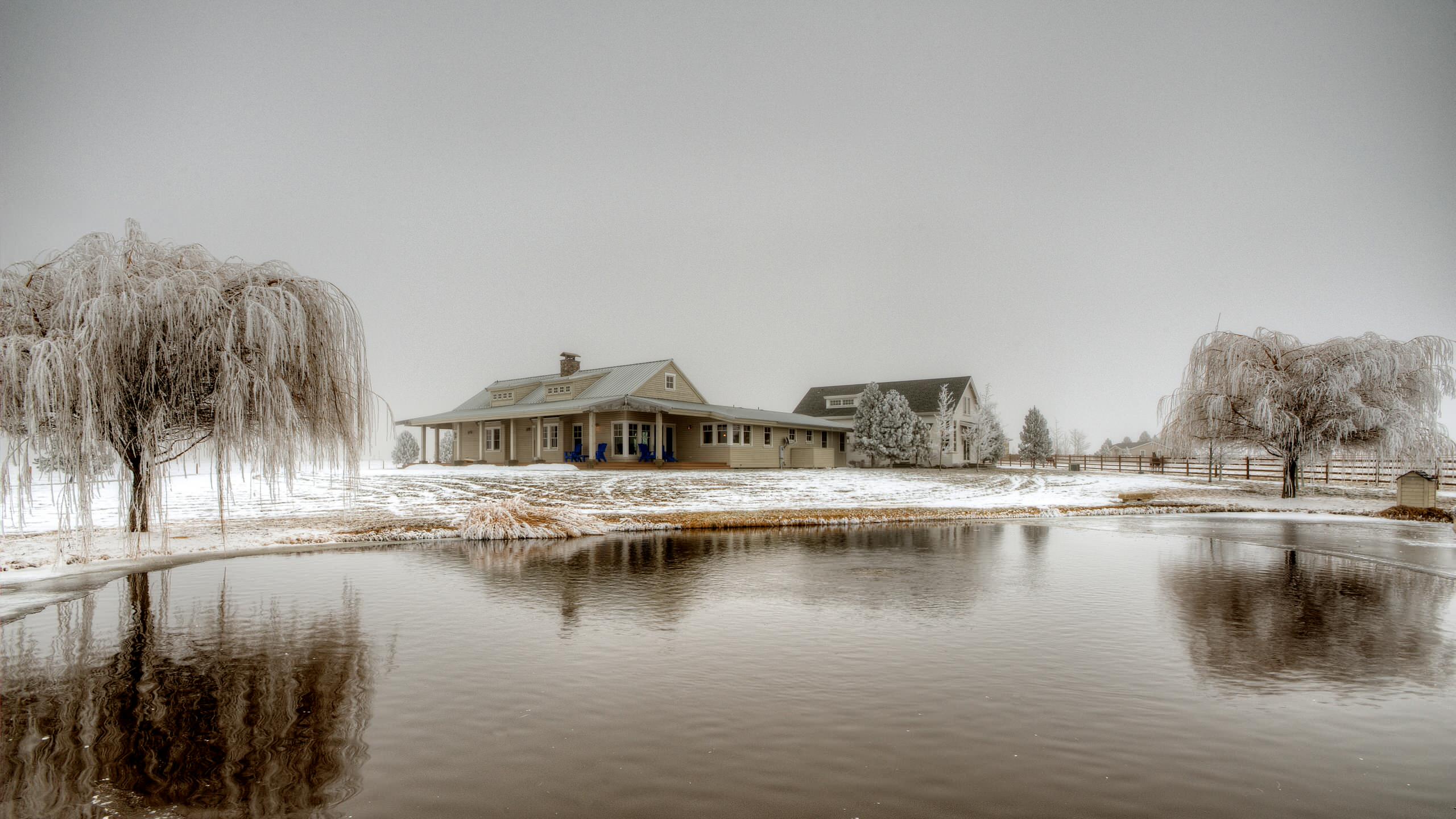 Снежный сад: Из чего складывается зимняя декоративность вашего участка