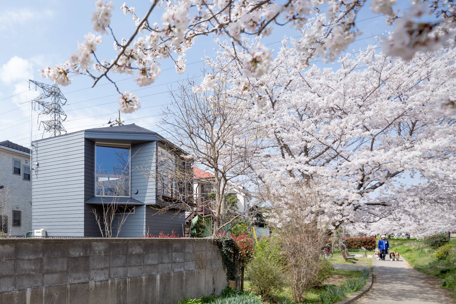 Houzz Япония: Праздник цветения сакуры или Дом со срезанными углами