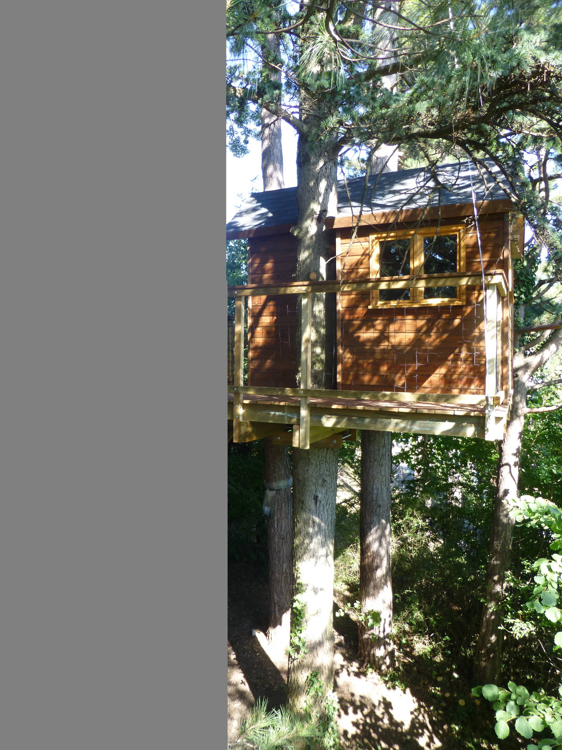 Мир дизайна: 10 домов на деревьях — на радость детям и взрослым