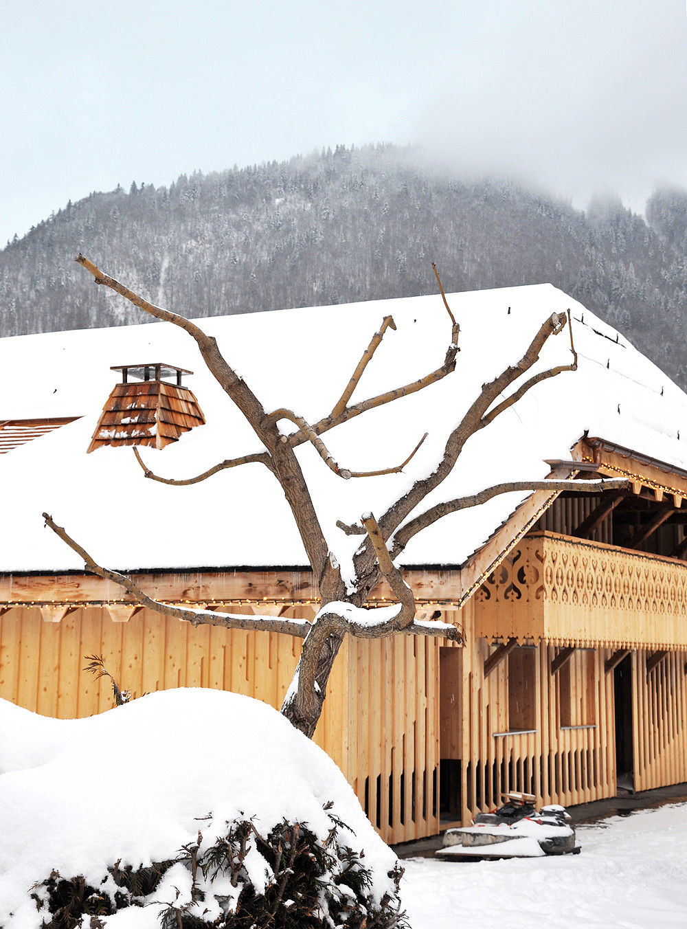 Houzz Франция: Вилла в Савойе на месте старой фермы