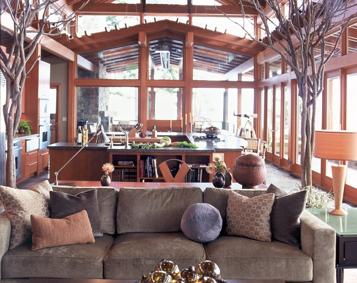 Архитектура: Как ужиться с растущим в доме деревом