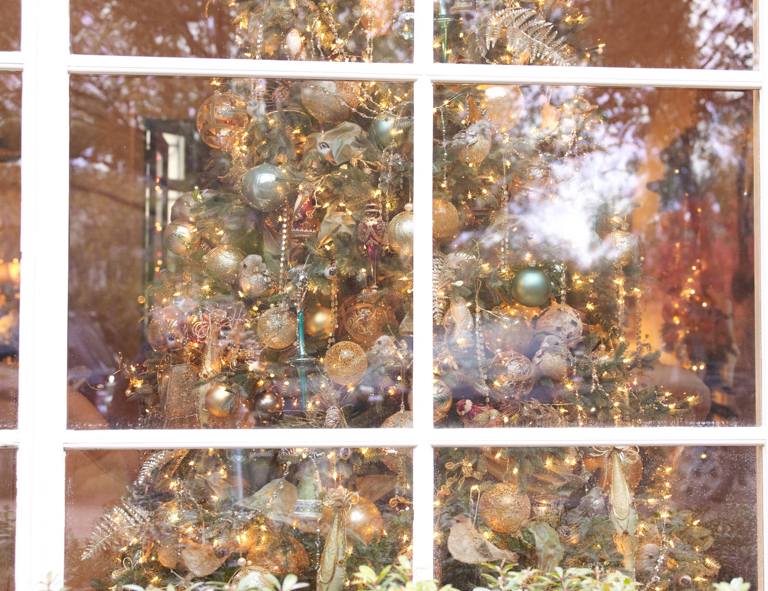 Новогодний декор 2020: Шесть актуальных концепций