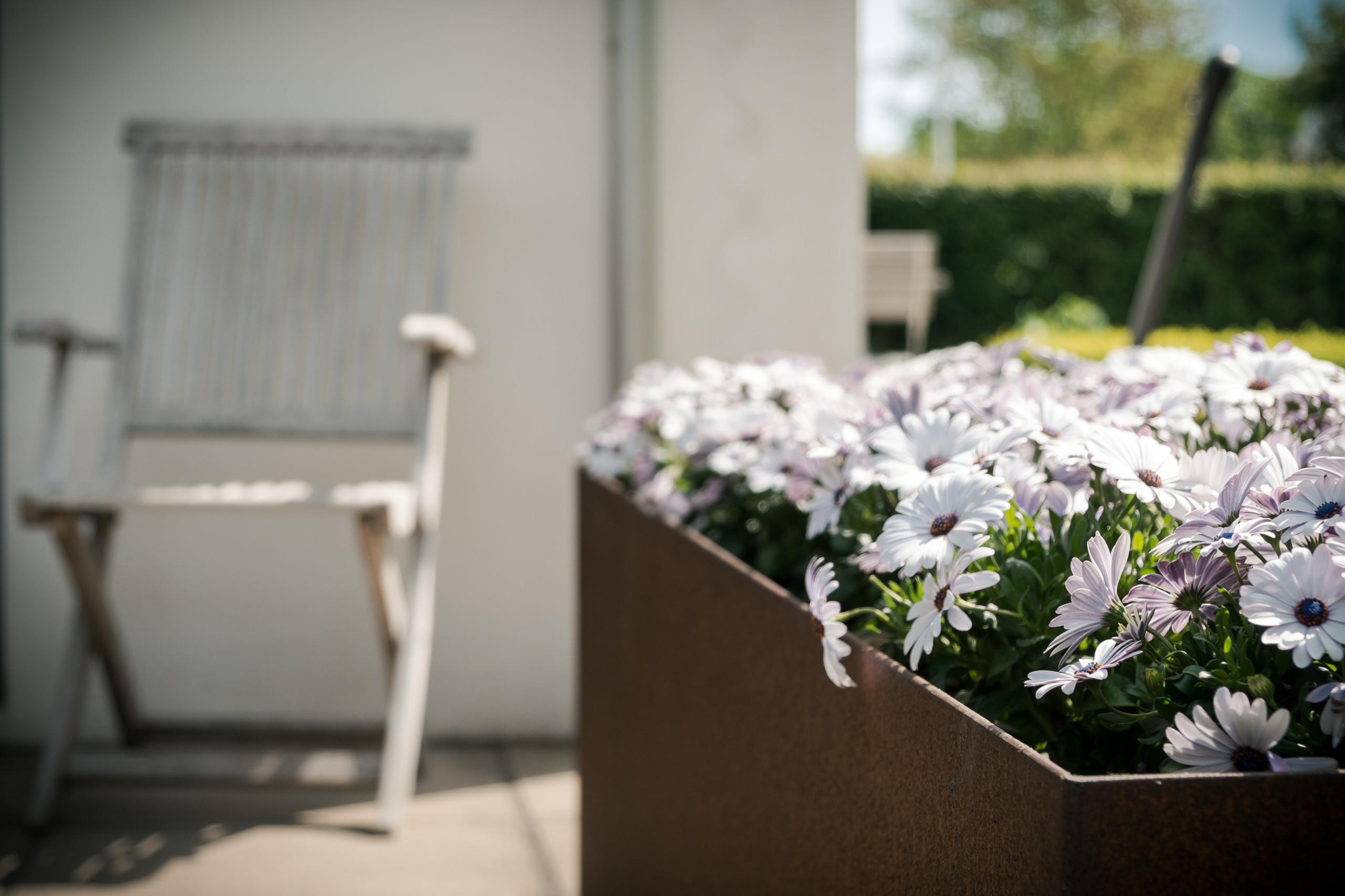 Модная ржавчина: Кортеновская сталь в ландшафтном дизайне