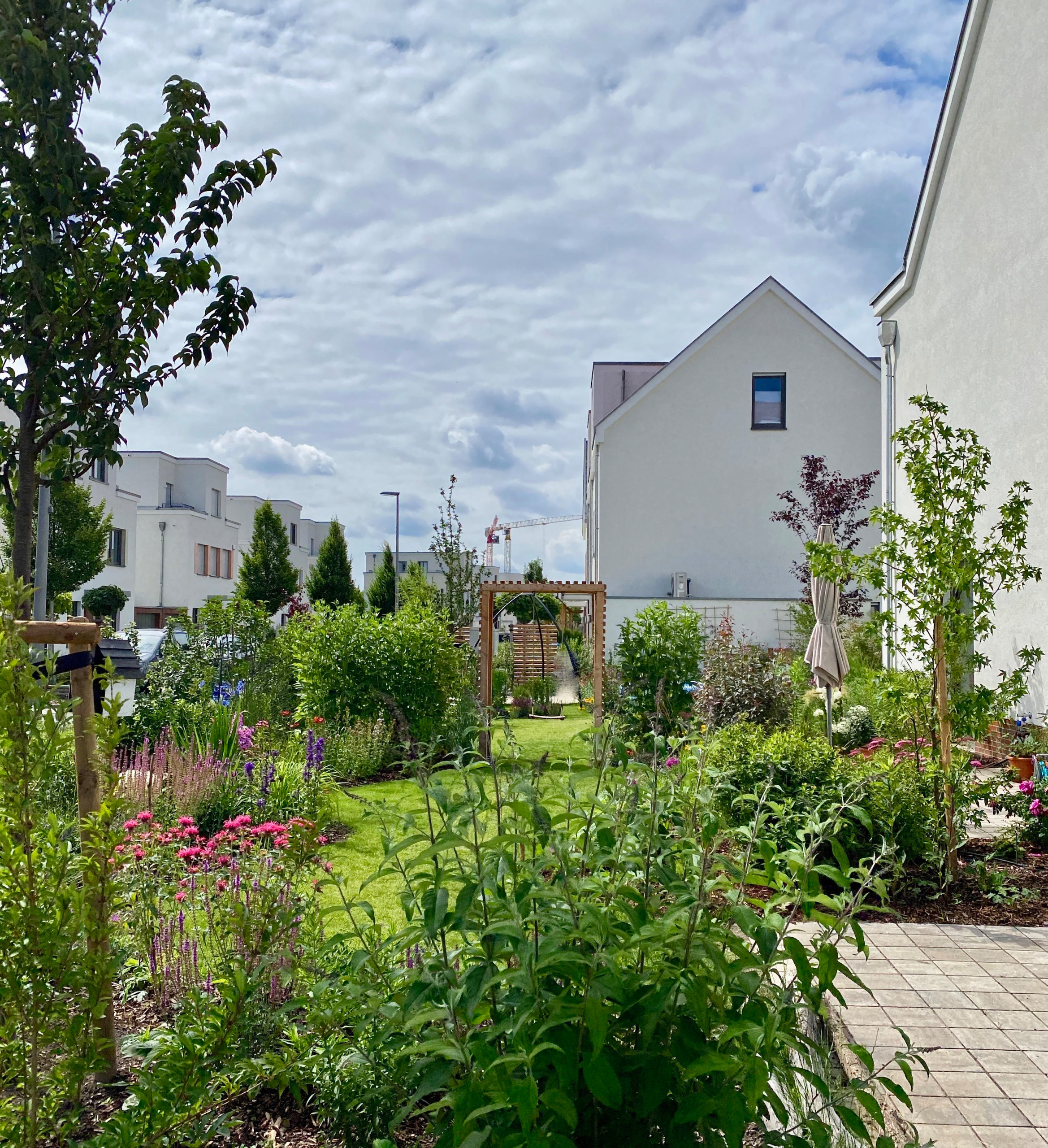 Сад недели: 4 сотки в Берлине — угловой участок