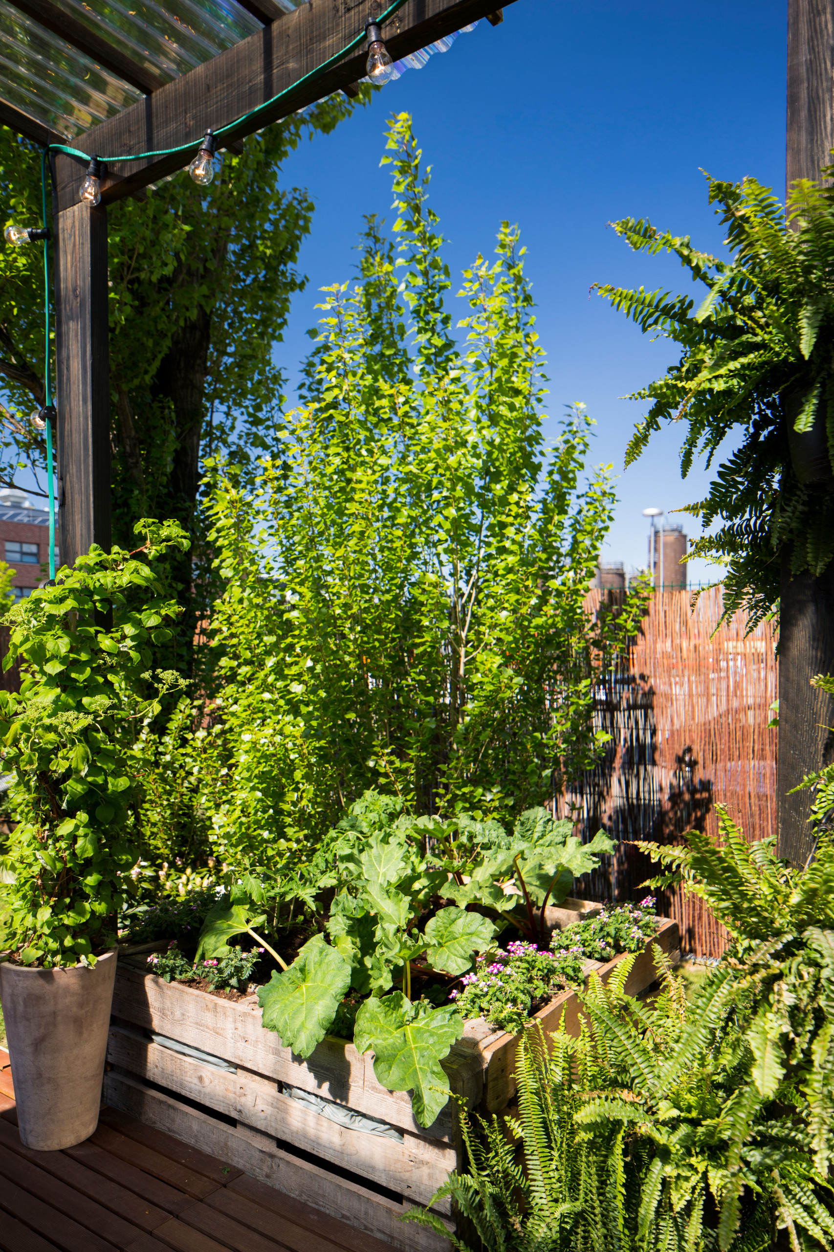 Проект недели: Временные апартаменты с садом... в центре города