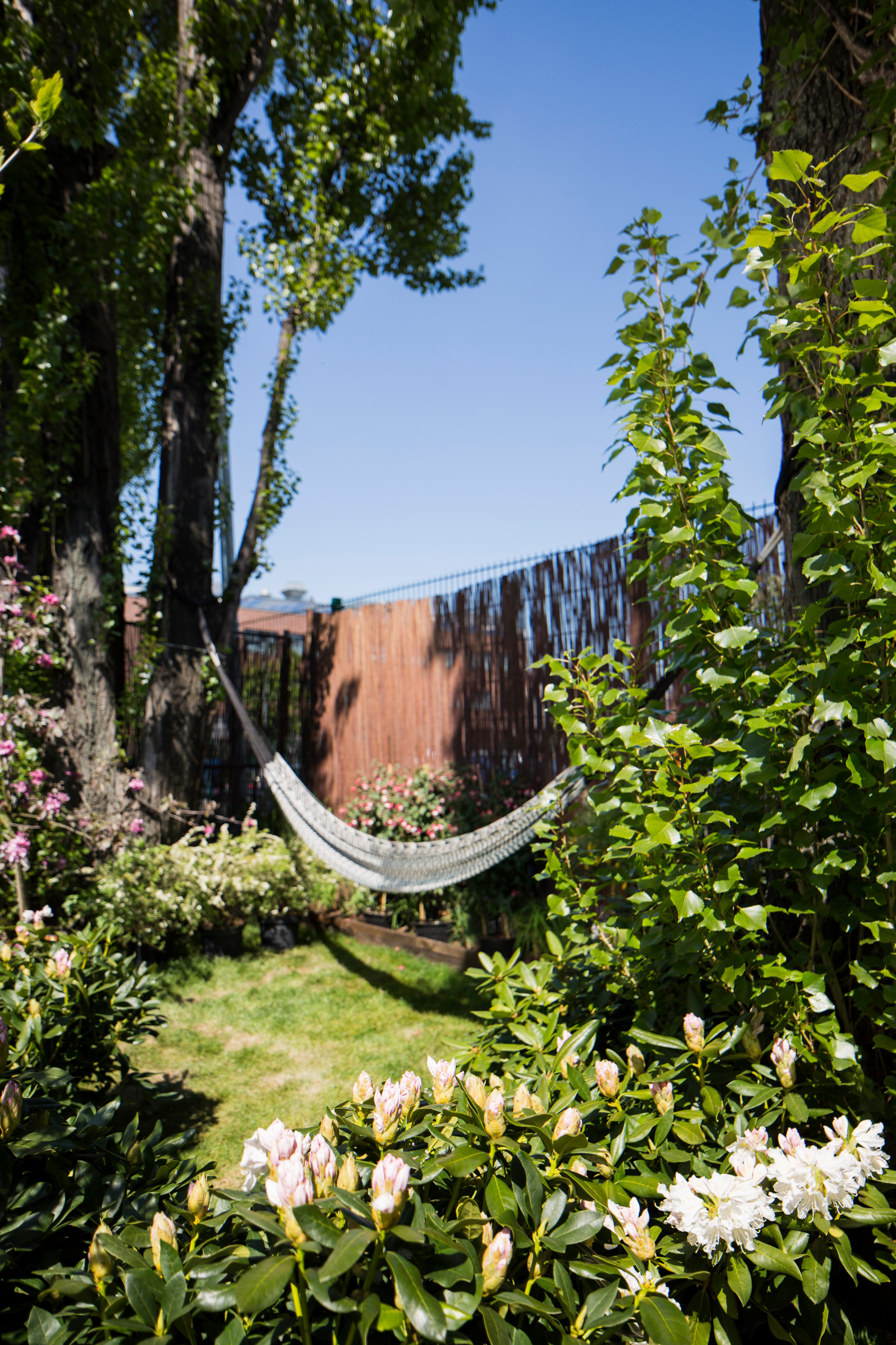 Проект недели: Временные апартаменты с садом... в центре города