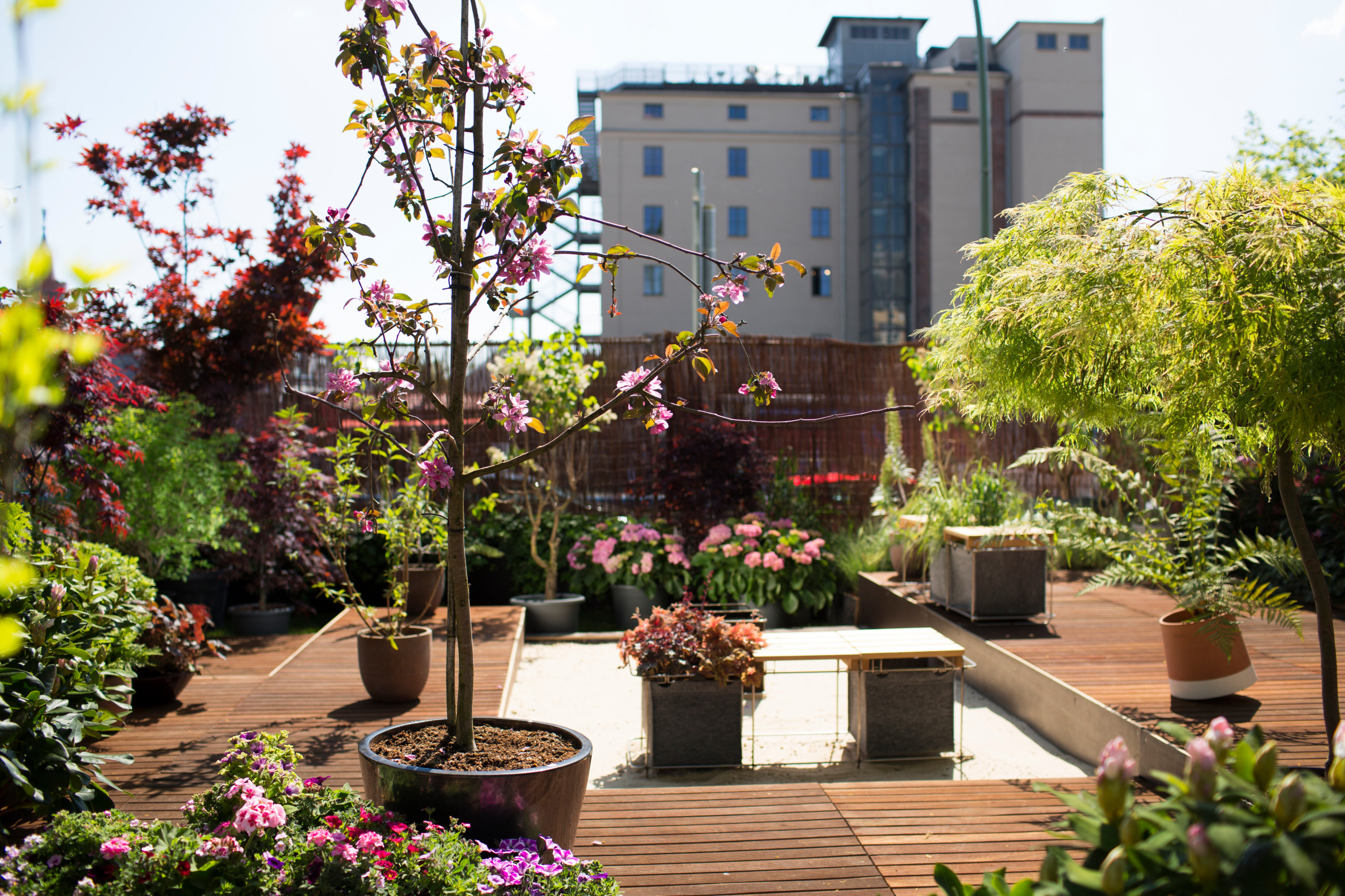 Проект недели: Временные апартаменты с садом... в центре города