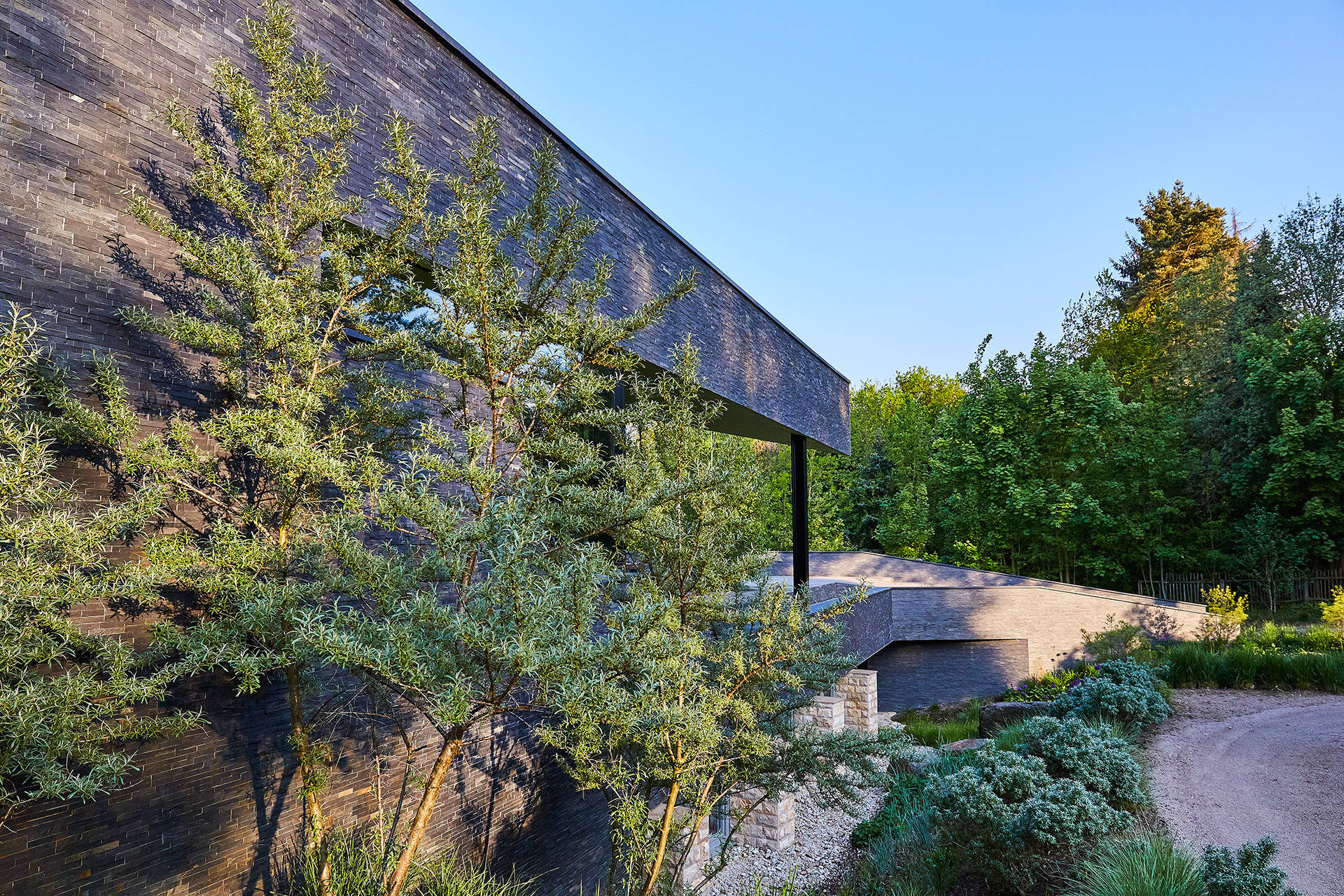 Houzz Германия: Дом в Саксонии — с родителями на одном участке