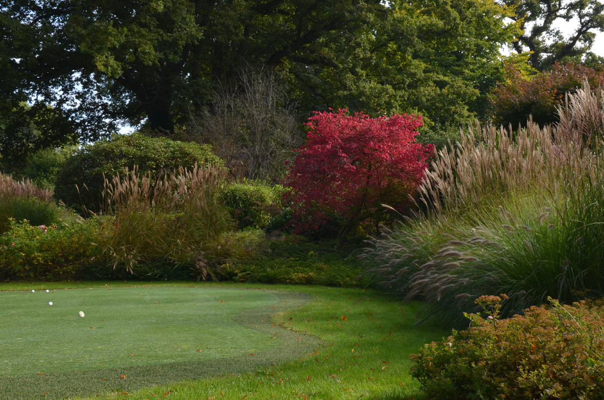 Ленивый сад: 17 советов, которые сэкономят вам силы