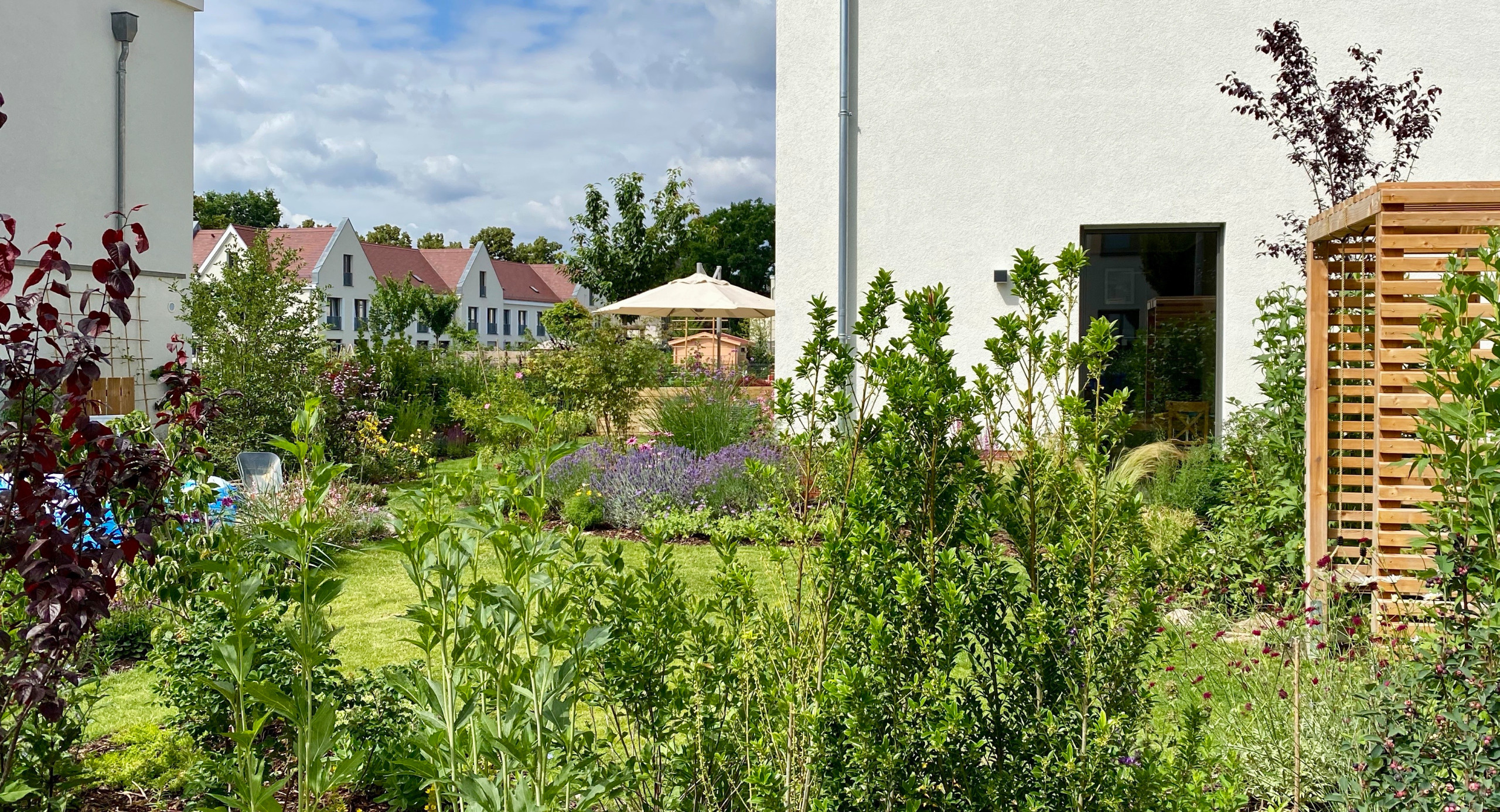 Сад недели: 4 сотки в Берлине — угловой участок