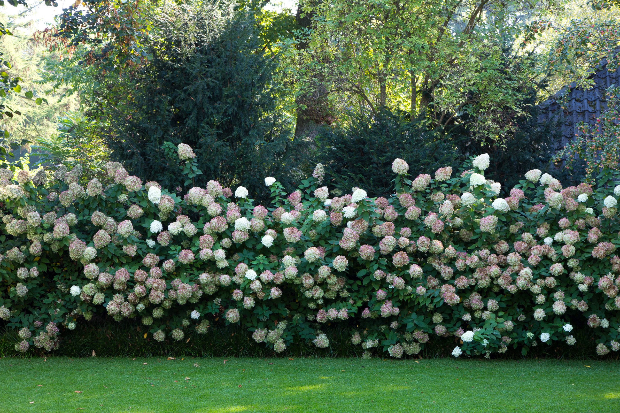 Итак, ваш стиль... северо-фризский