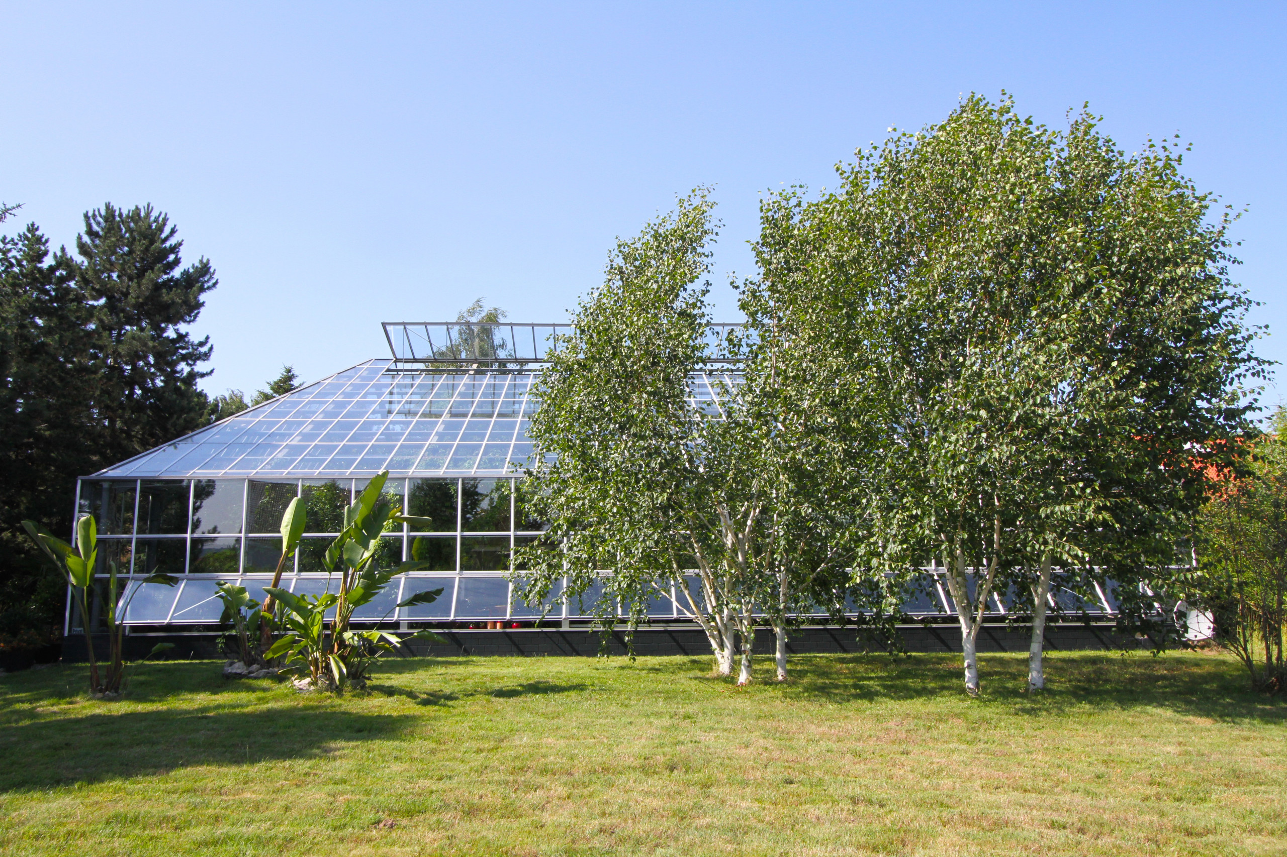 Архитектура: 5 проектов, где новый дом строили... внутри старого