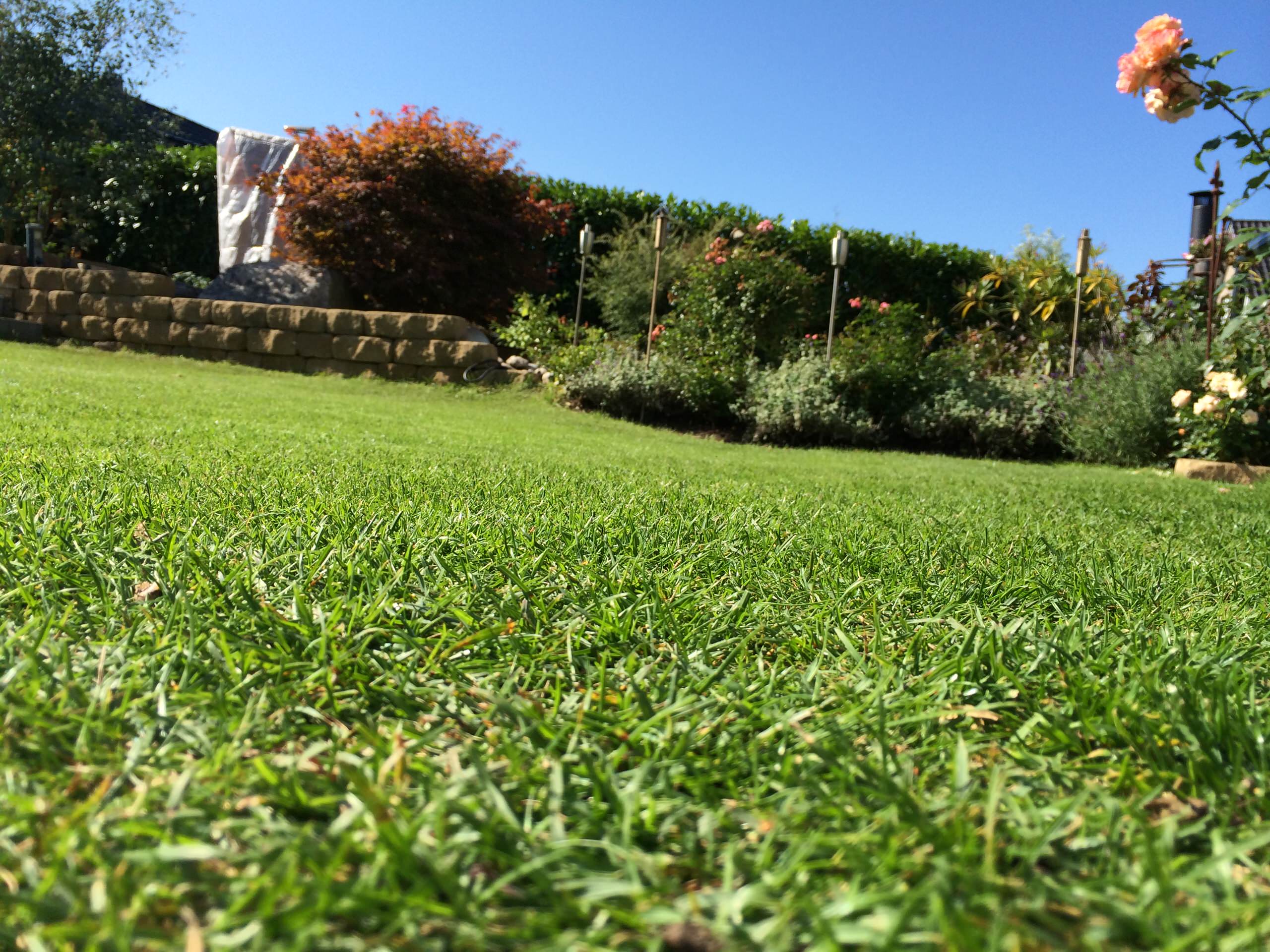 Вопрос: Чем заменить традиционный (партерный) газон