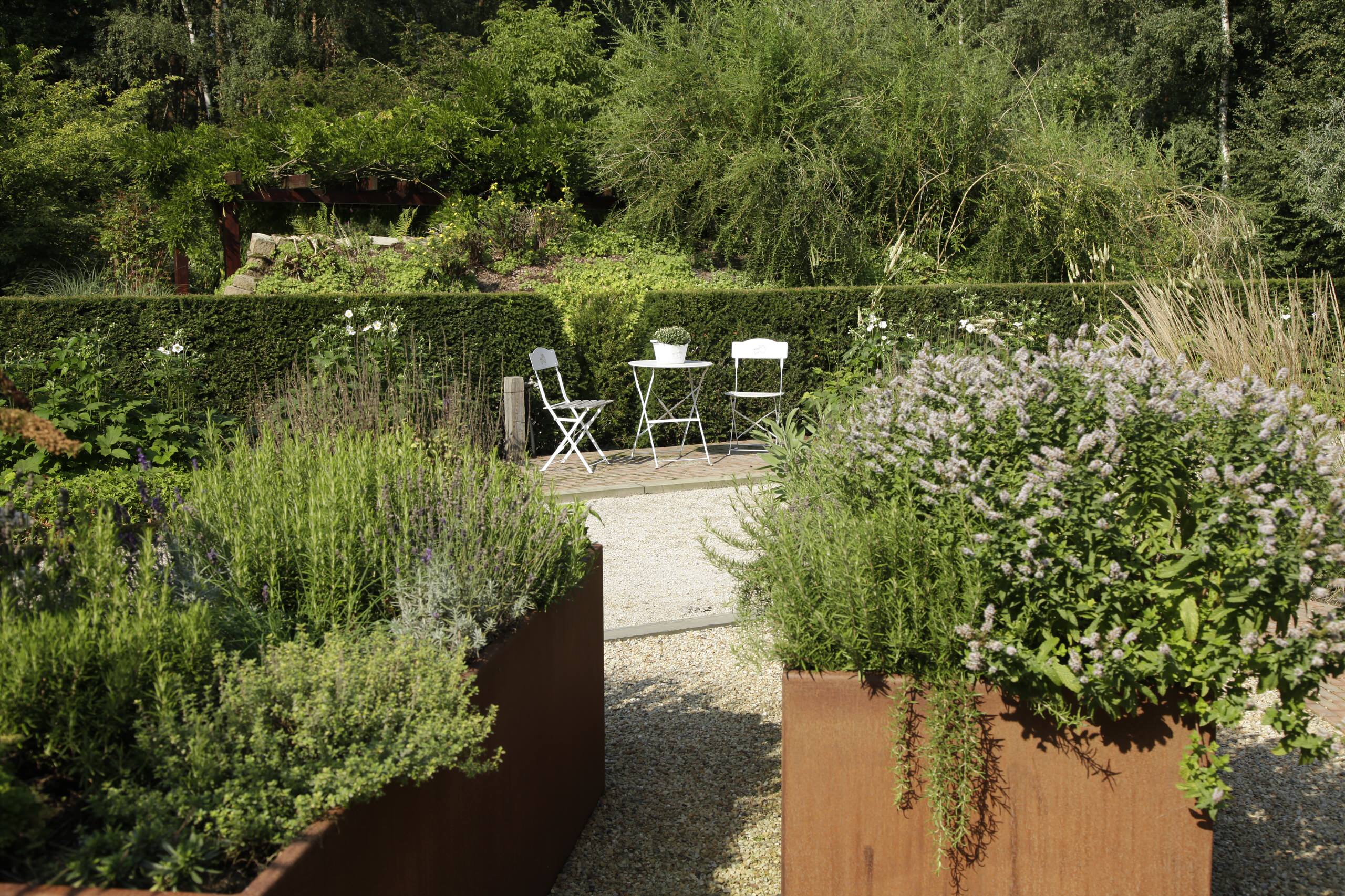 Засуха в саду: Ксероскейпинг — что об этом стоит знать