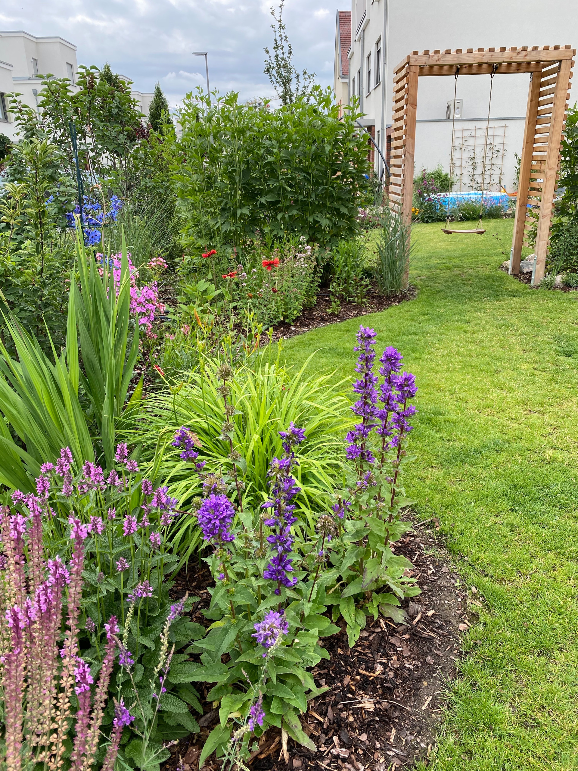 Сад недели: 4 сотки в Берлине — угловой участок