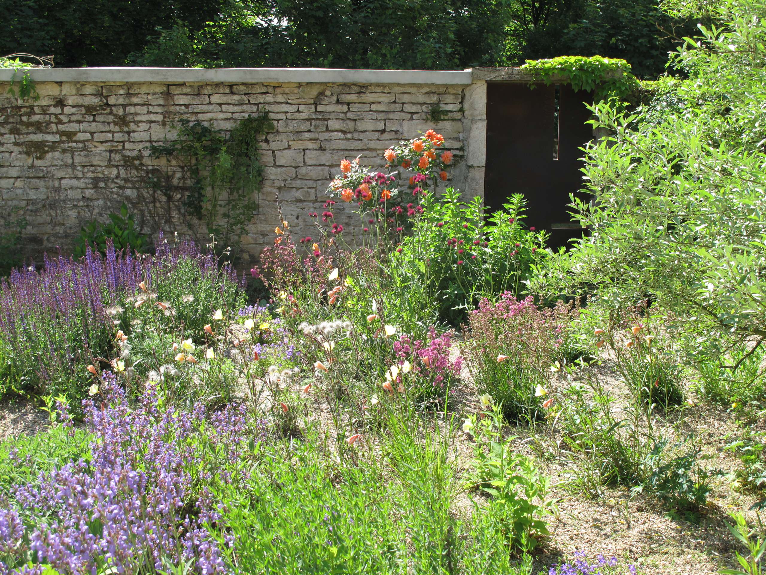 Засуха в саду: Ксероскейпинг — что об этом стоит знать