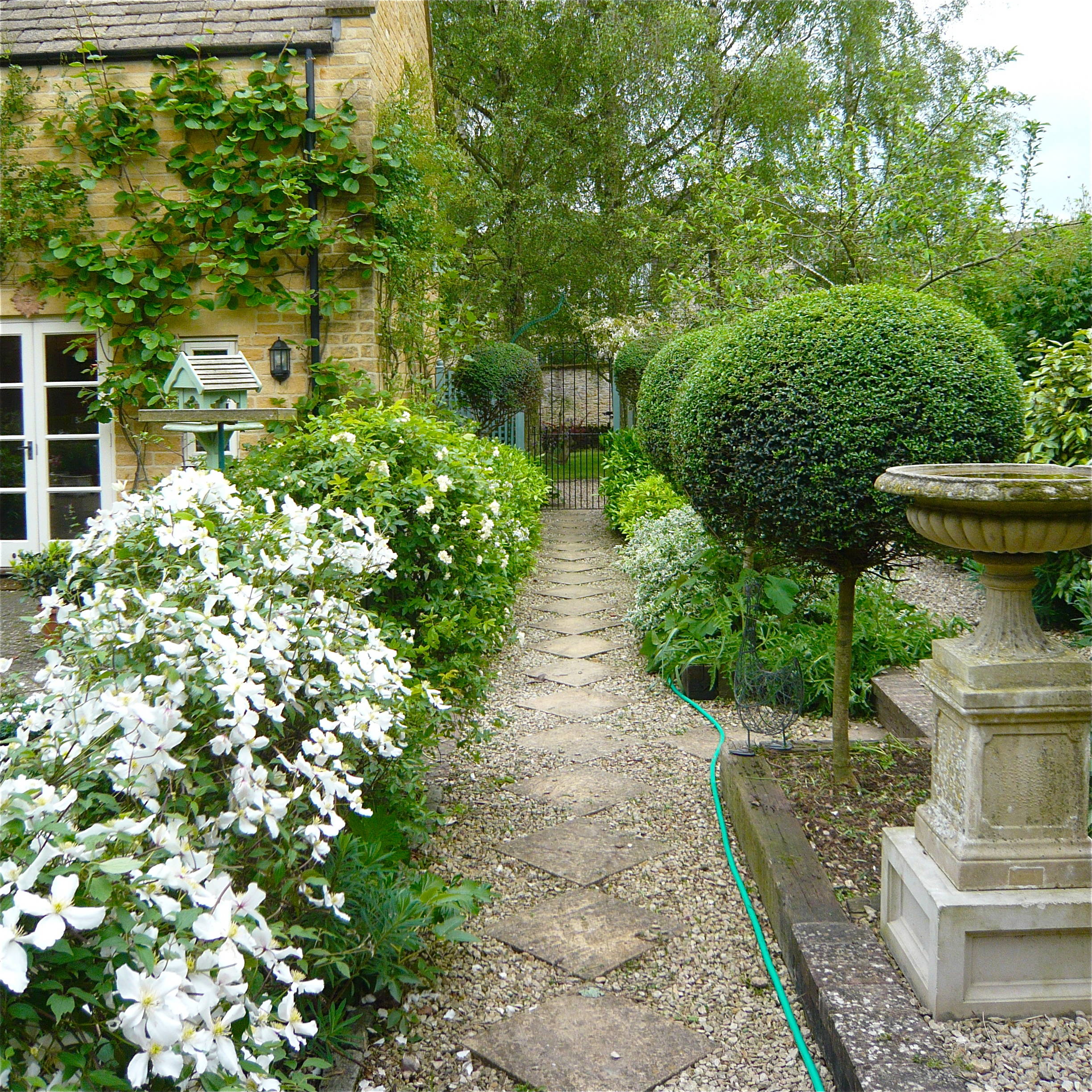 Стрижка кустов и деревьев: Азы выбора растений, алгоритм работ