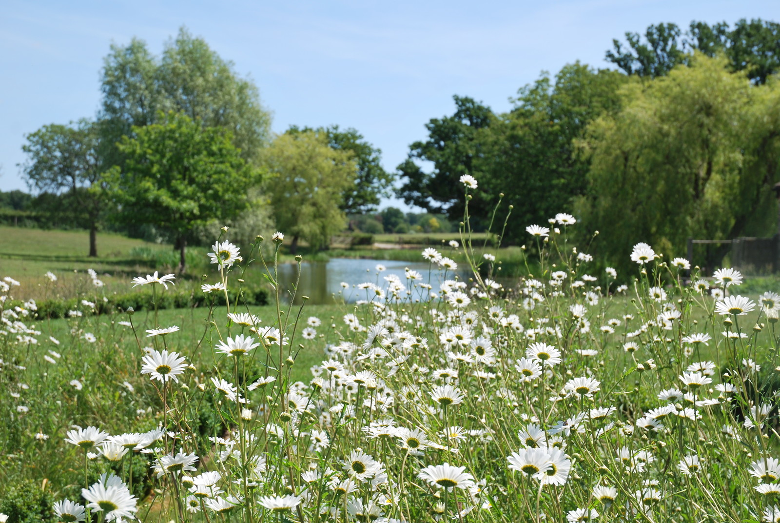 Будущее — наше и архитектуры: какое оно?