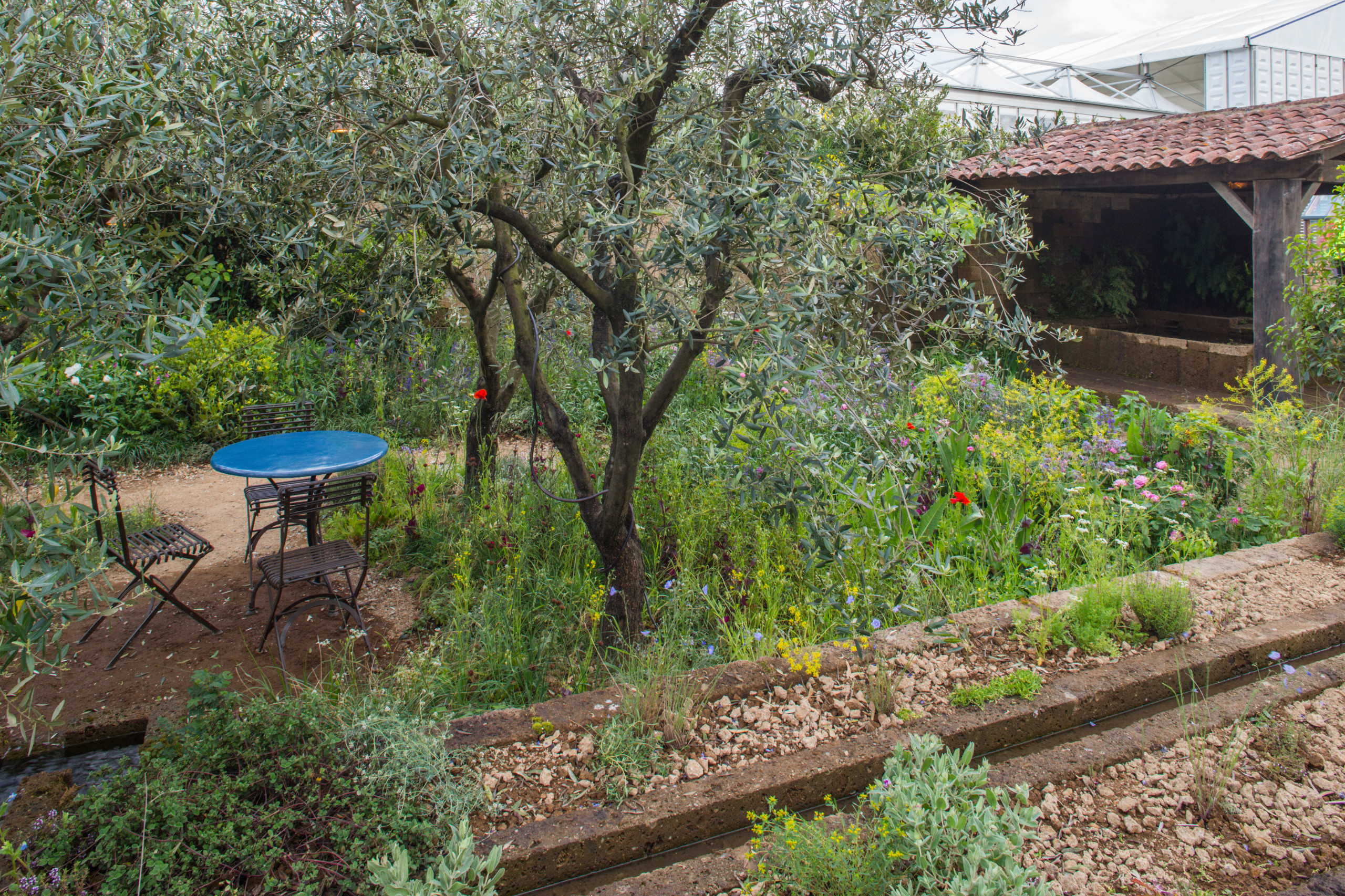 Chelsea Flower Show: 11 трендов ландшафтного дизайна на будущий год