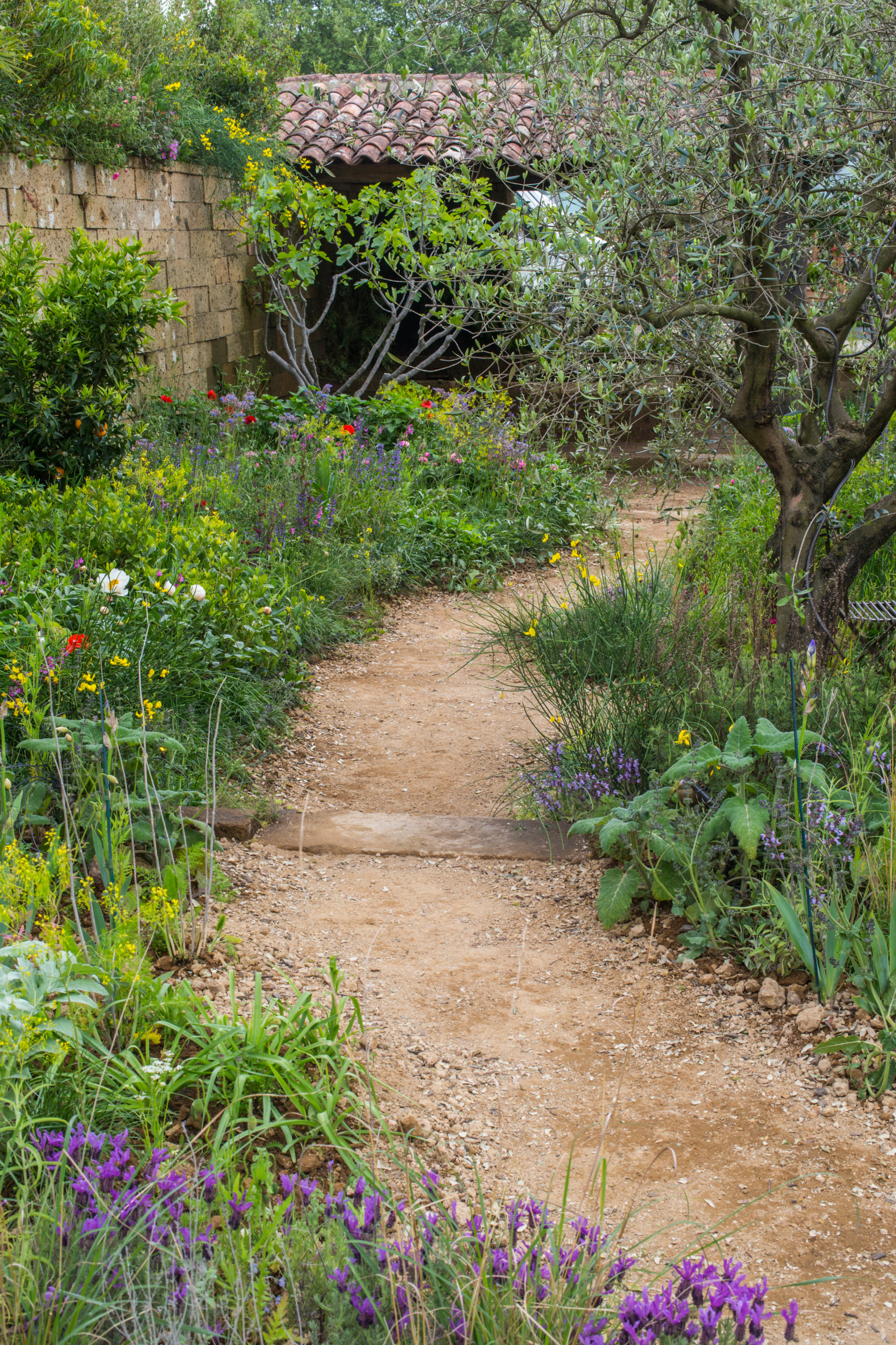 Chelsea Flower Show: 11 трендов ландшафтного дизайна на будущий год