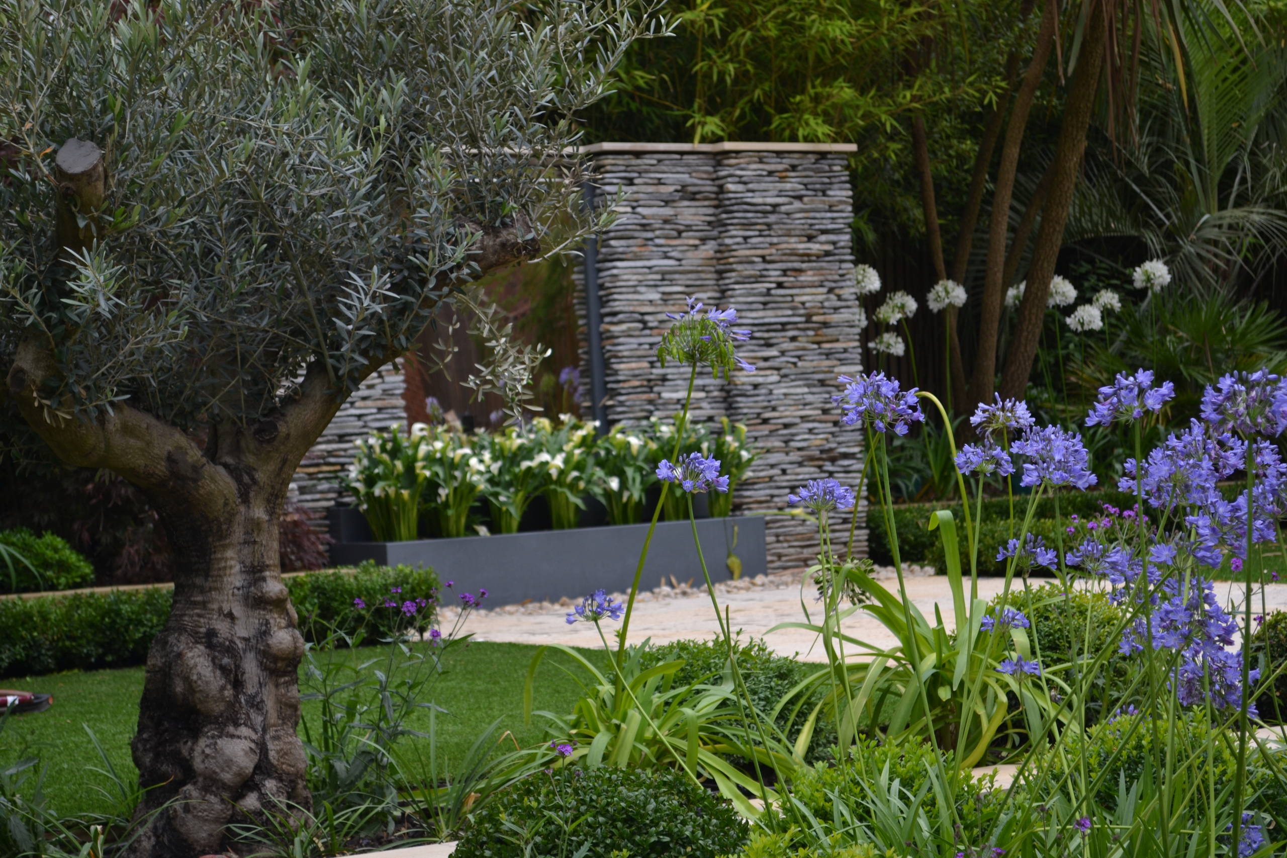 Солнцелюбивые растения для сада: 11 сценариев посадки