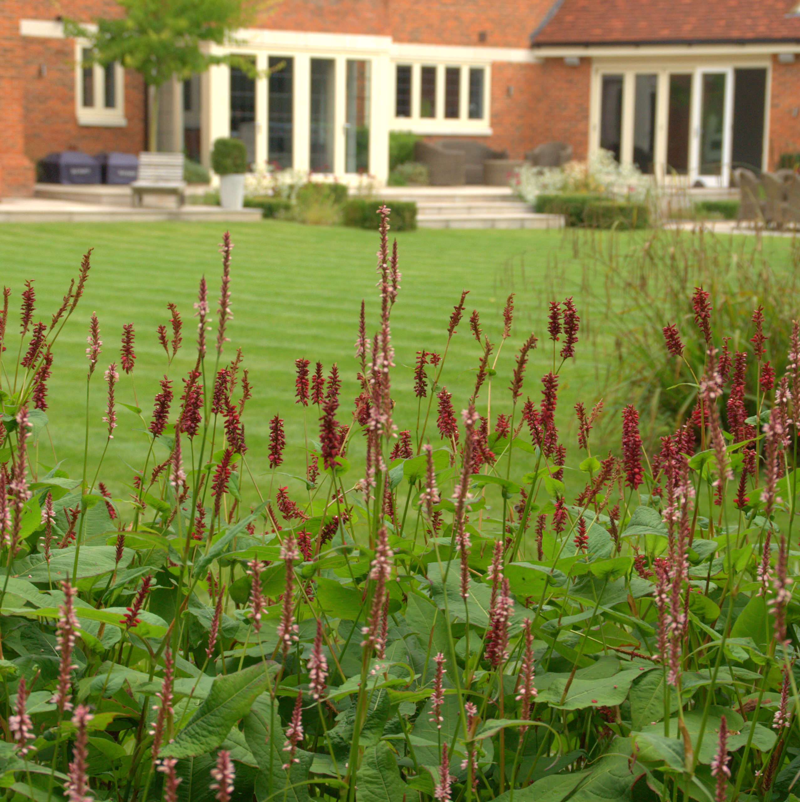 Одним цветом: Оформление участка в единой цветовой гамме