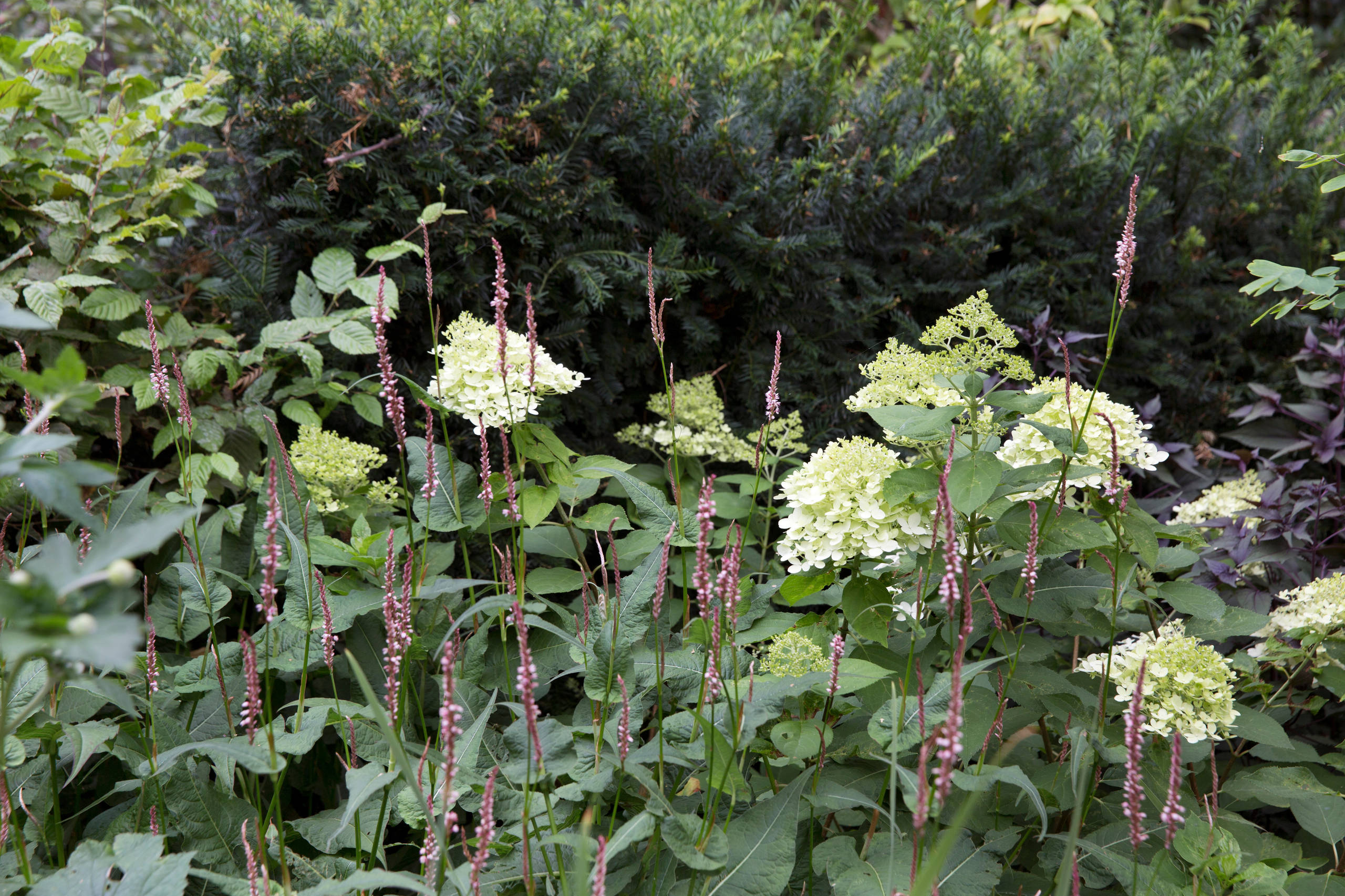 До и после: Пышный сад с эффектной каменной стеной