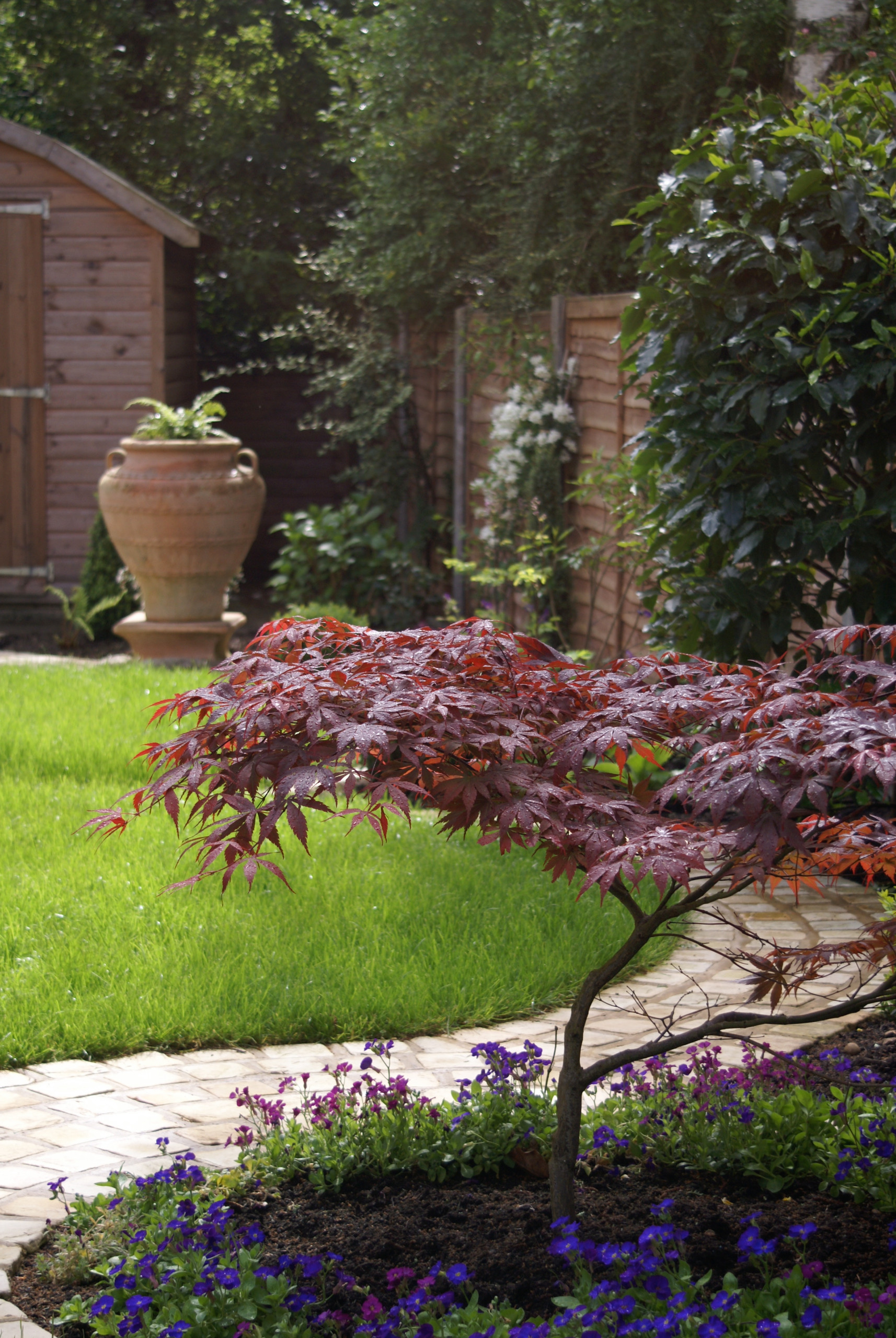 Свой круг: Как оформить приствольные круги деревьев