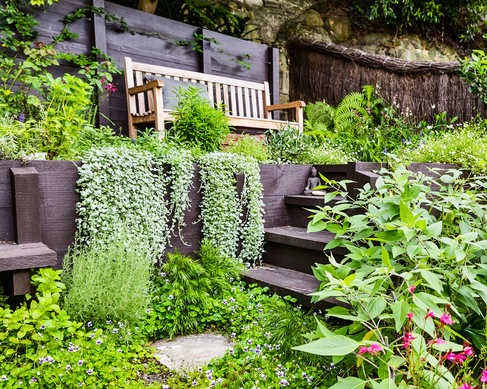 Почвопокровные растения: Зеленый ковер для сада