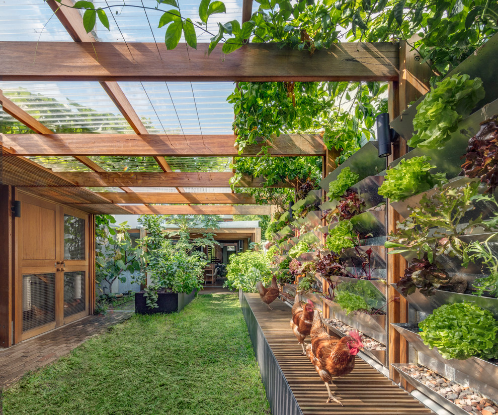 Houzz Австралия: Энергоэффективный дом с... курятником