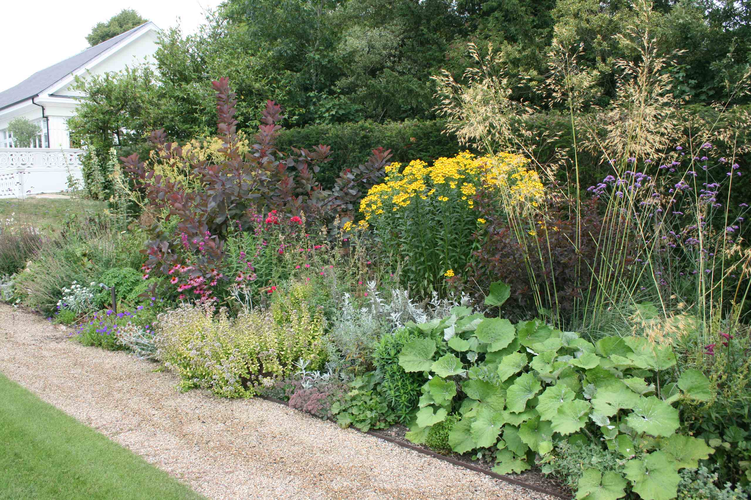 Сад для ленивых: Многолетники, легкие в уходе