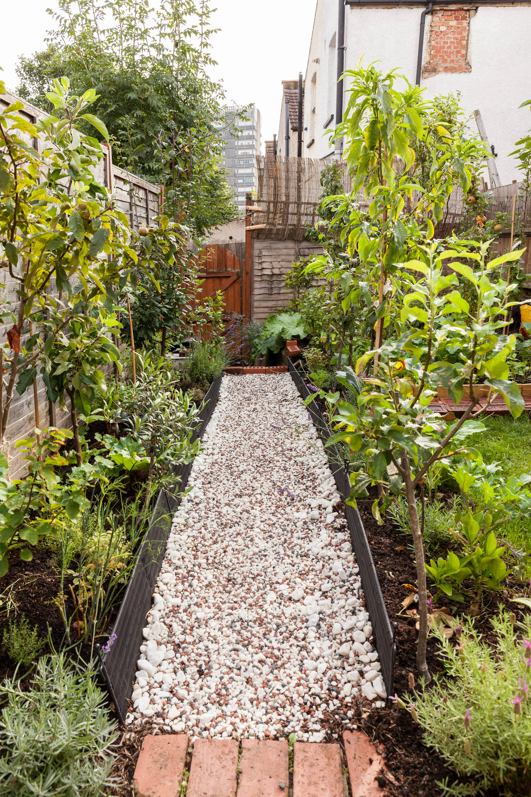 Мир дизайна: 10 огородников-любителей показывают урожай со своих грядок