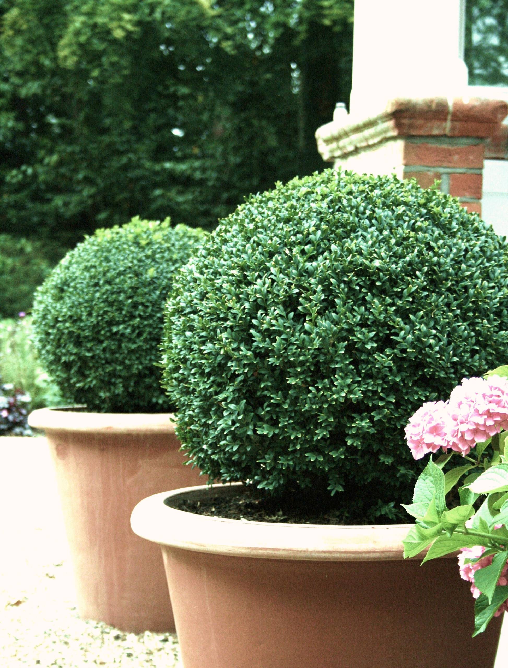 Как выбрать: Кашпо, которые готовы жить на улице и не жаловаться