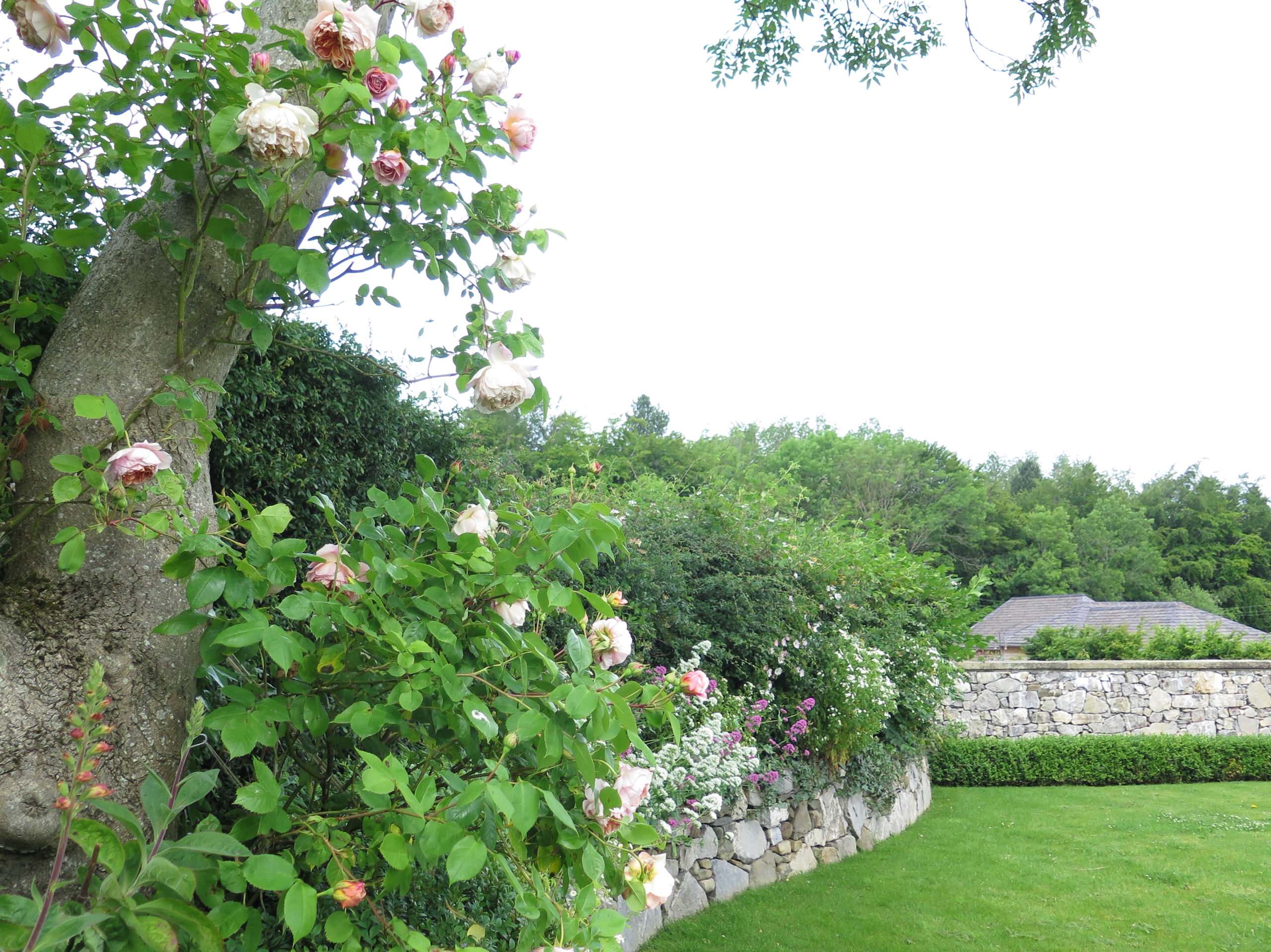 Утопленный сад: Звучит интригующе, а на самом деле все просто