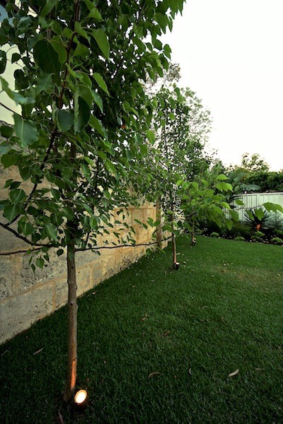 Дизайн узкого участка: Что учесть при планировке сада и дачи