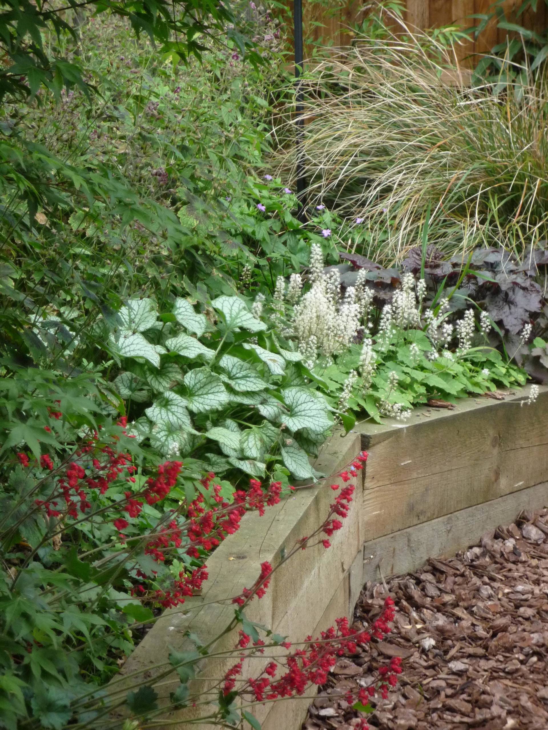 Уходим в тень: Теневыносливые растения для сада