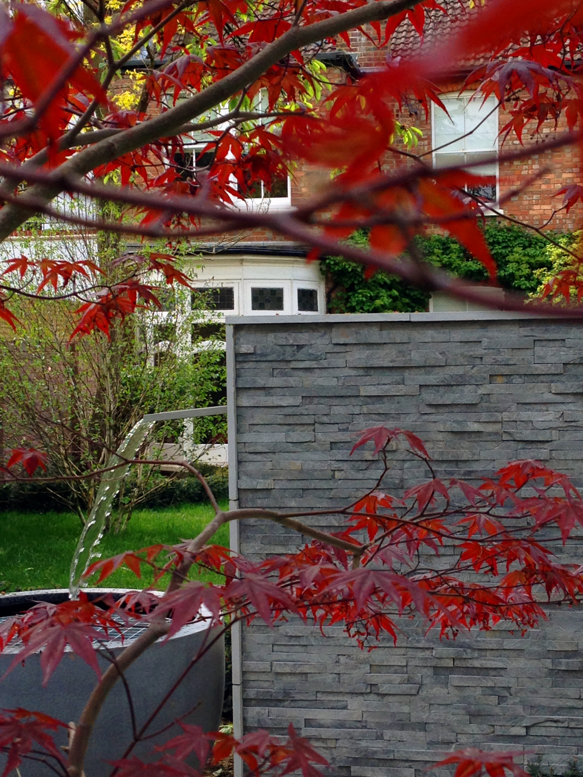 Одним цветом: Оформление участка в единой цветовой гамме