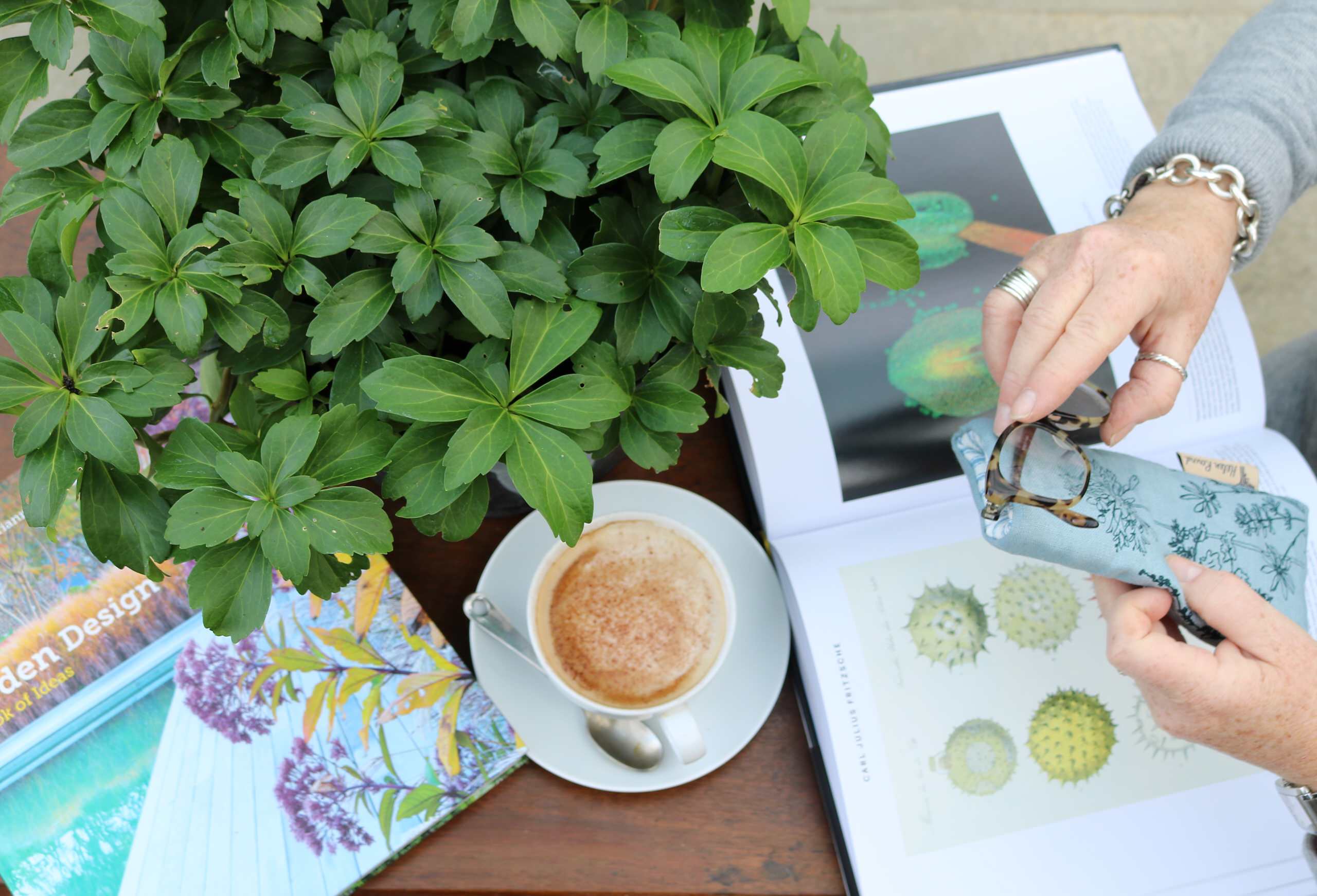 Приоритеты: Как ухаживать за садом, если у вас нет опыта